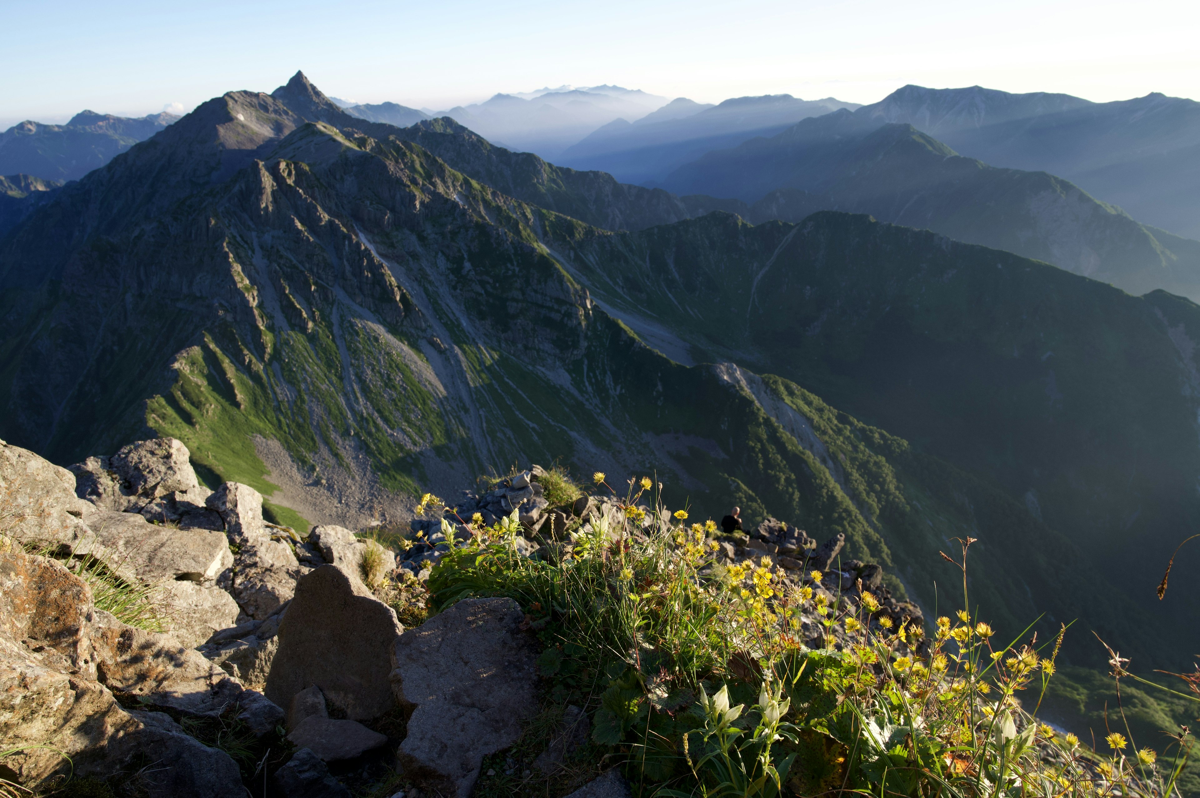 Aussicht vom Gipfel eines Berges mit grünen Bergen und blühenden Blumen