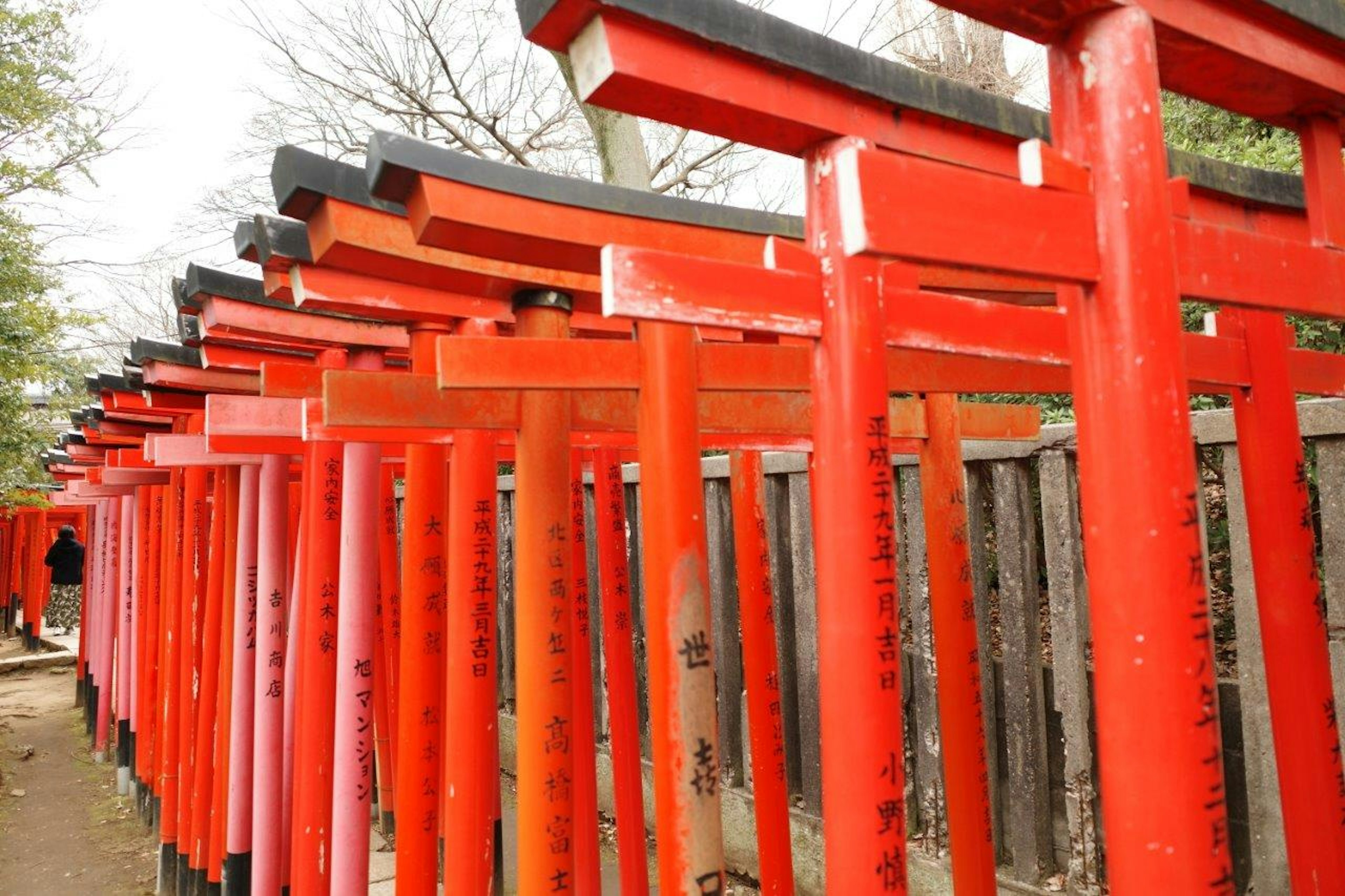 A pathway lined with vibrant red torii gates and greenery