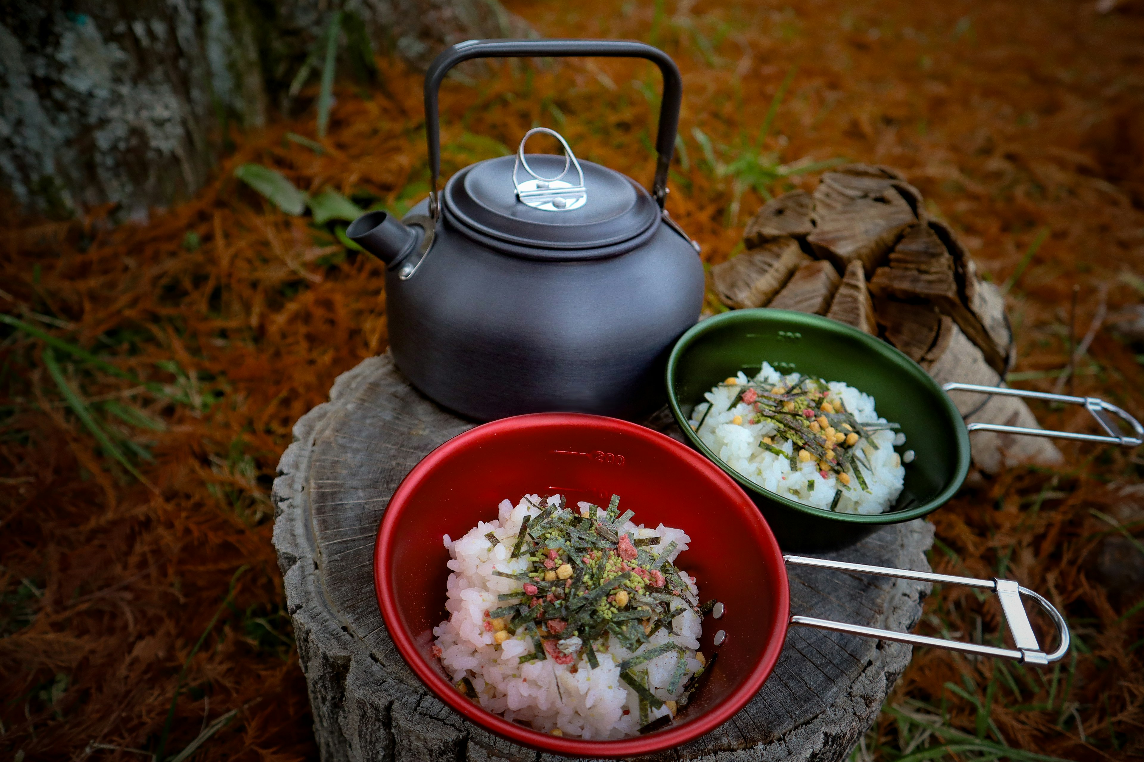 Two bowls of rice topped with herbs and a black kettle on a wooden stump surrounded by autumn leaves