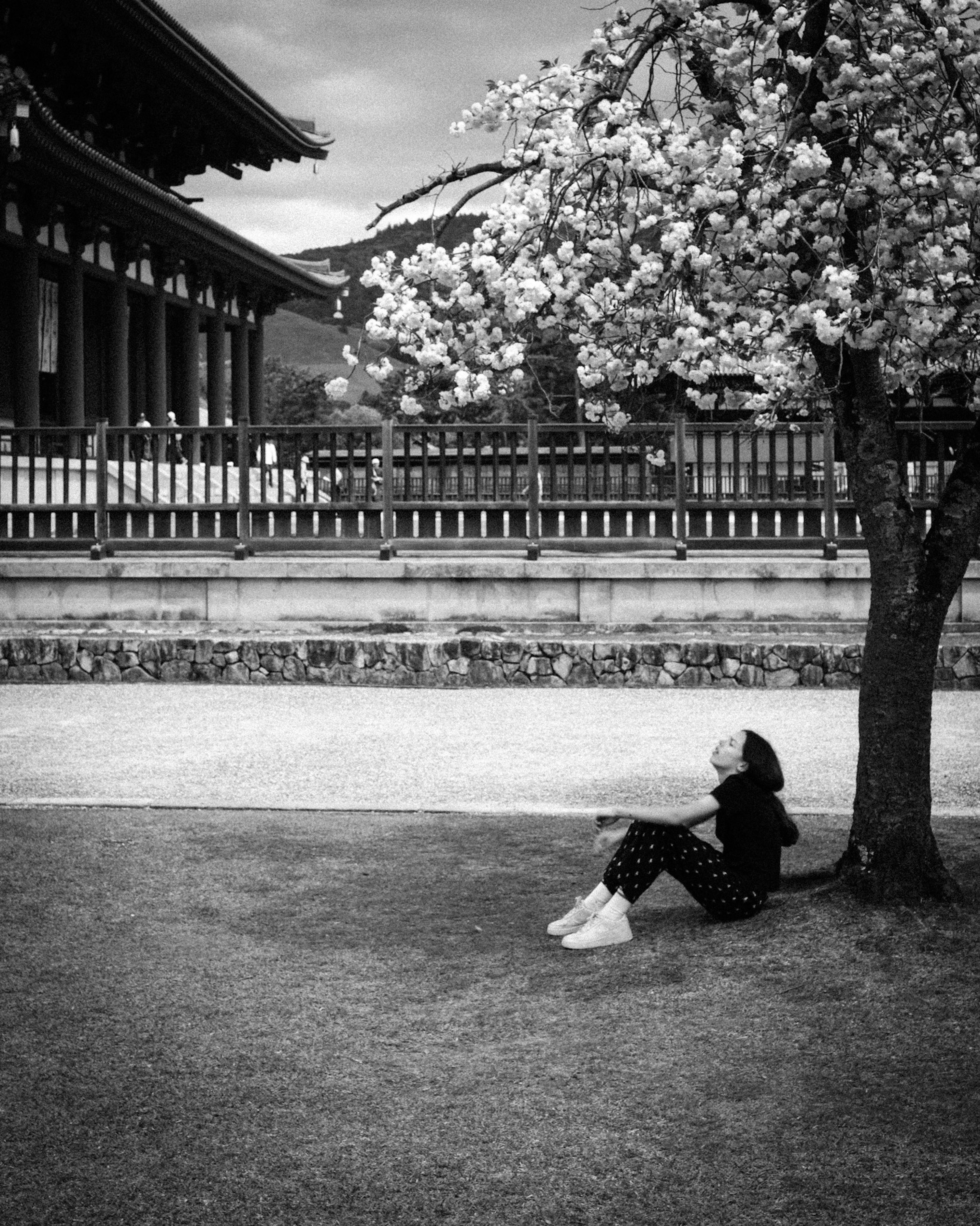 黒白の風景で桜の木の下に座る女性と伝統的な建物