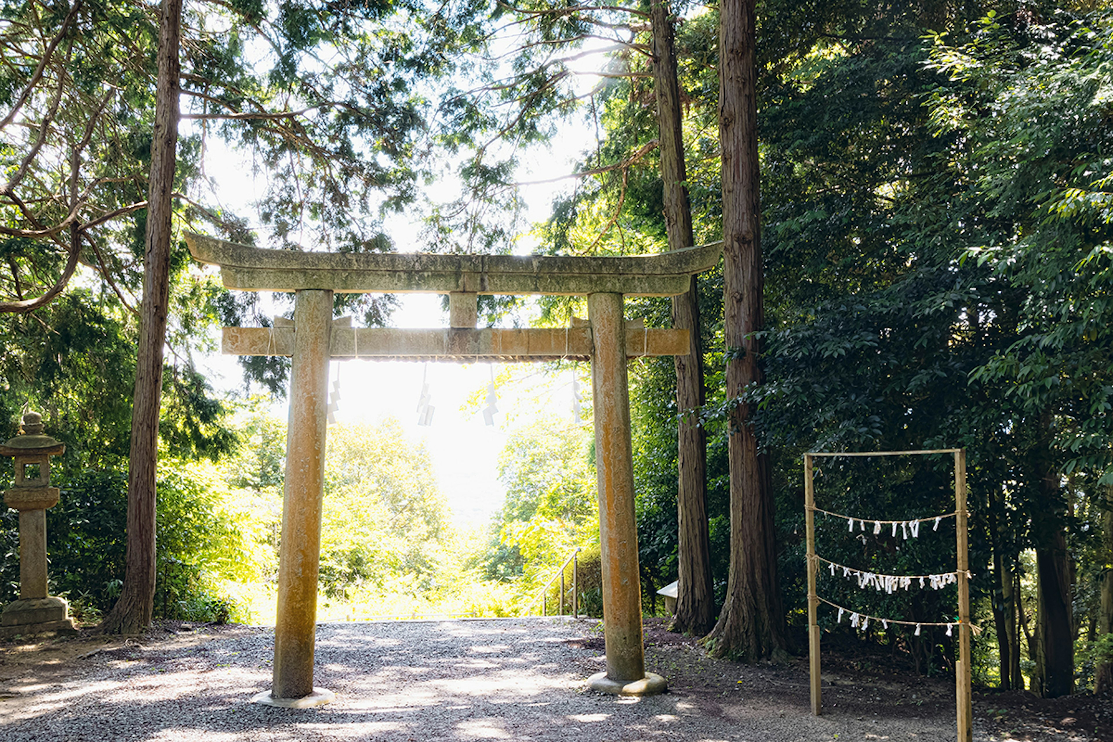 Cổng torii trong rừng với bảng omikuji