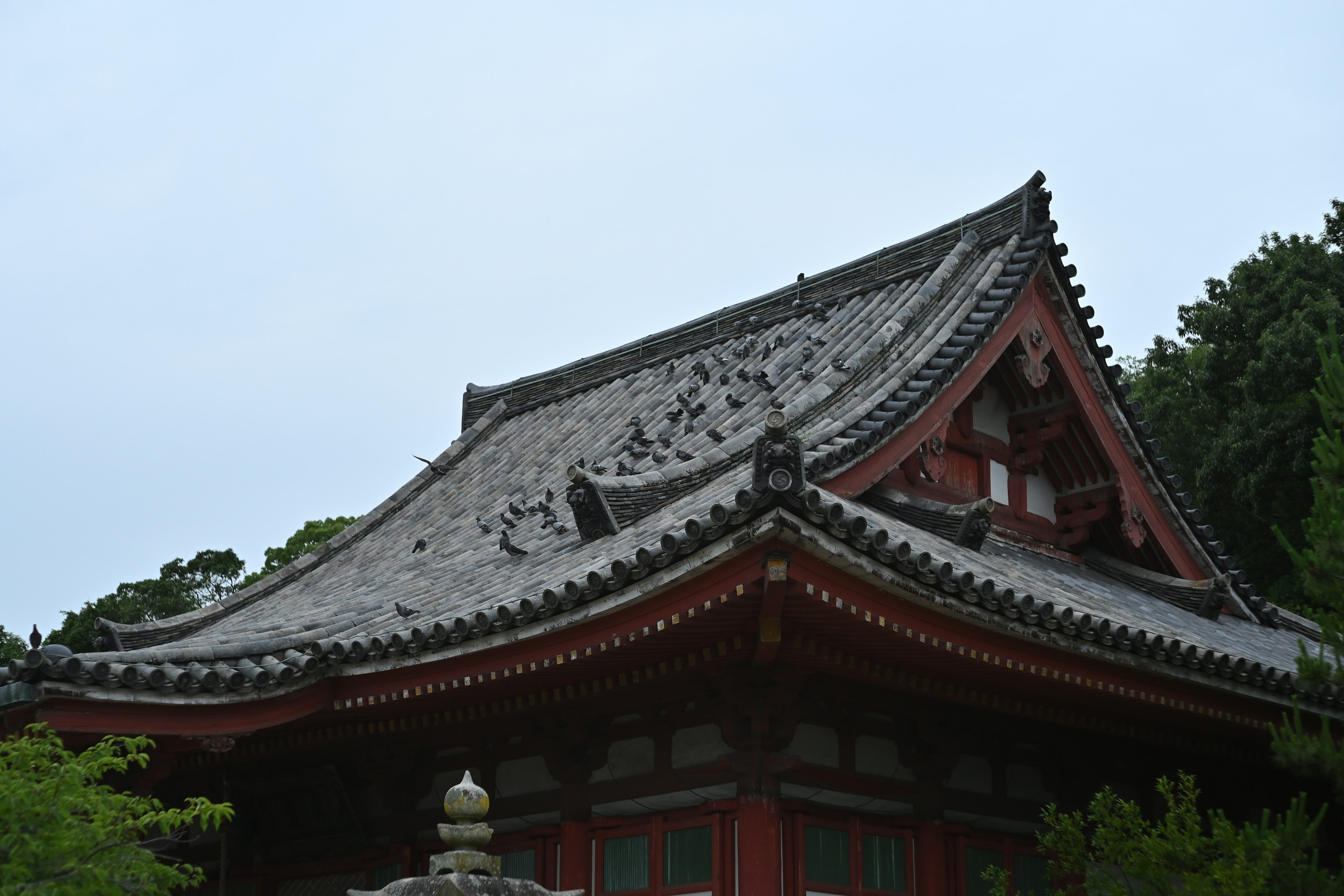 Vue détaillée du toit d'un beau temple japonais avec une architecture traditionnelle, tuiles grises et murs rouges