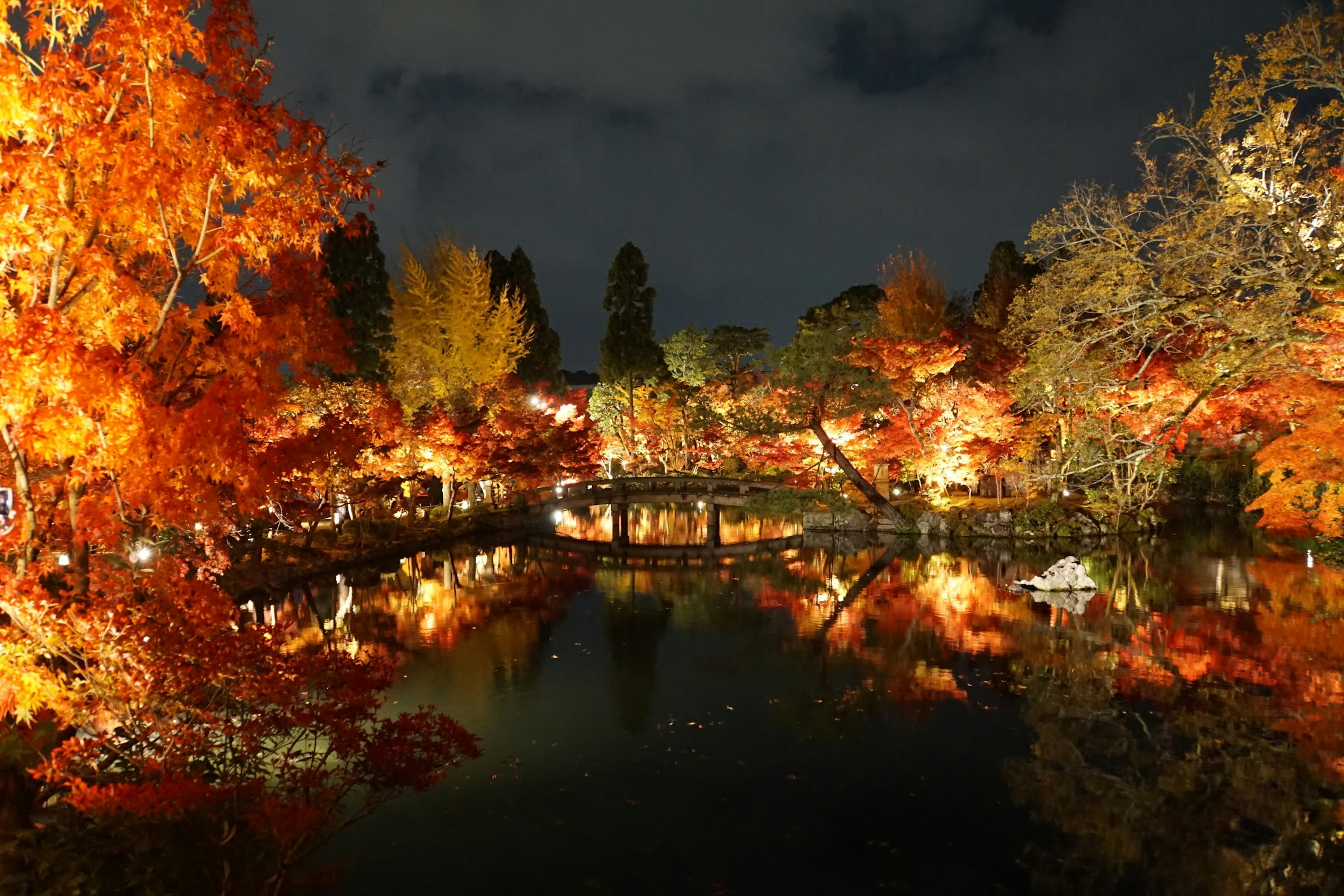 Belle feuillage d'automne autour d'un étang serein la nuit