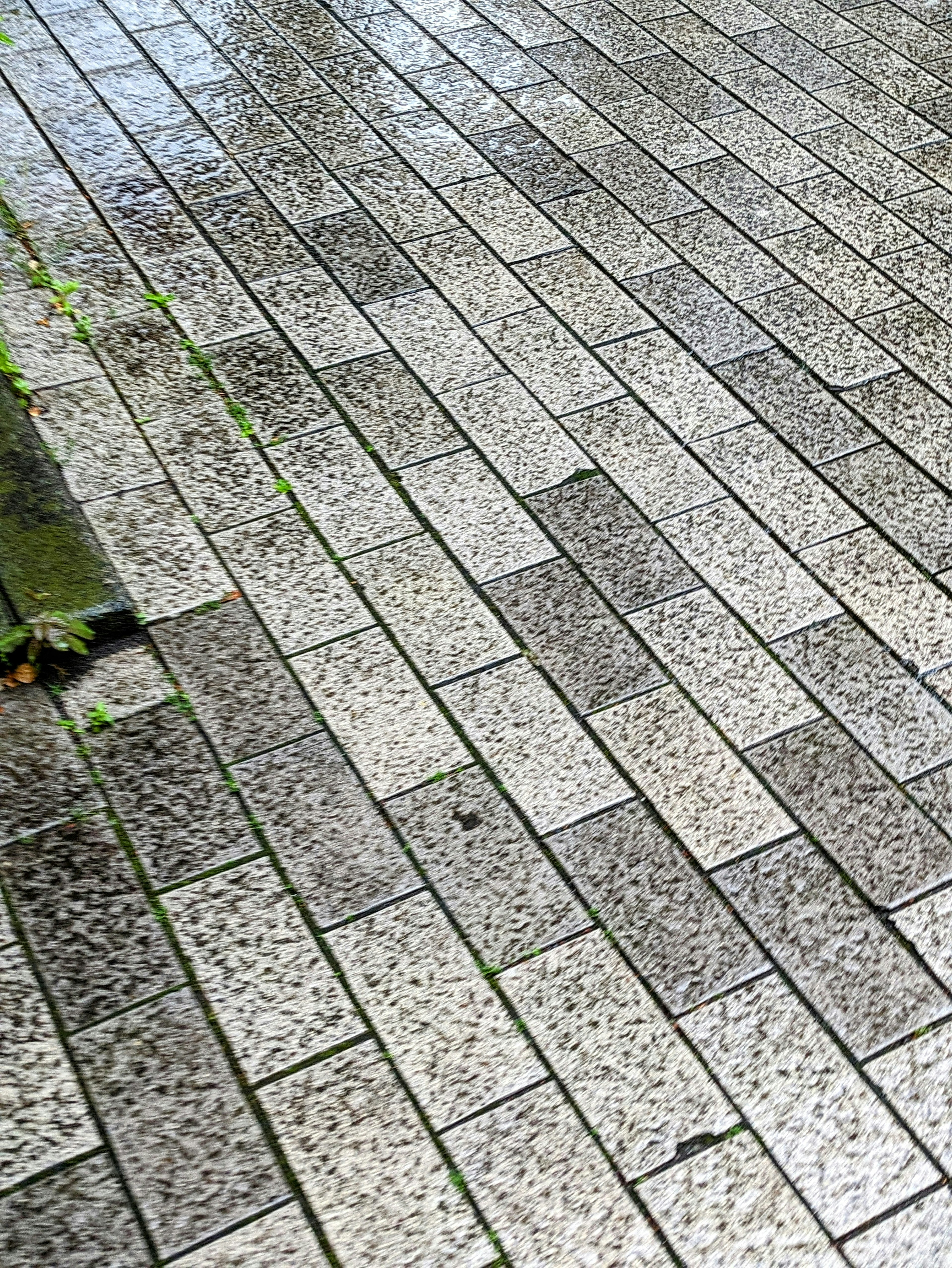 Wet stone pavement pattern and texture