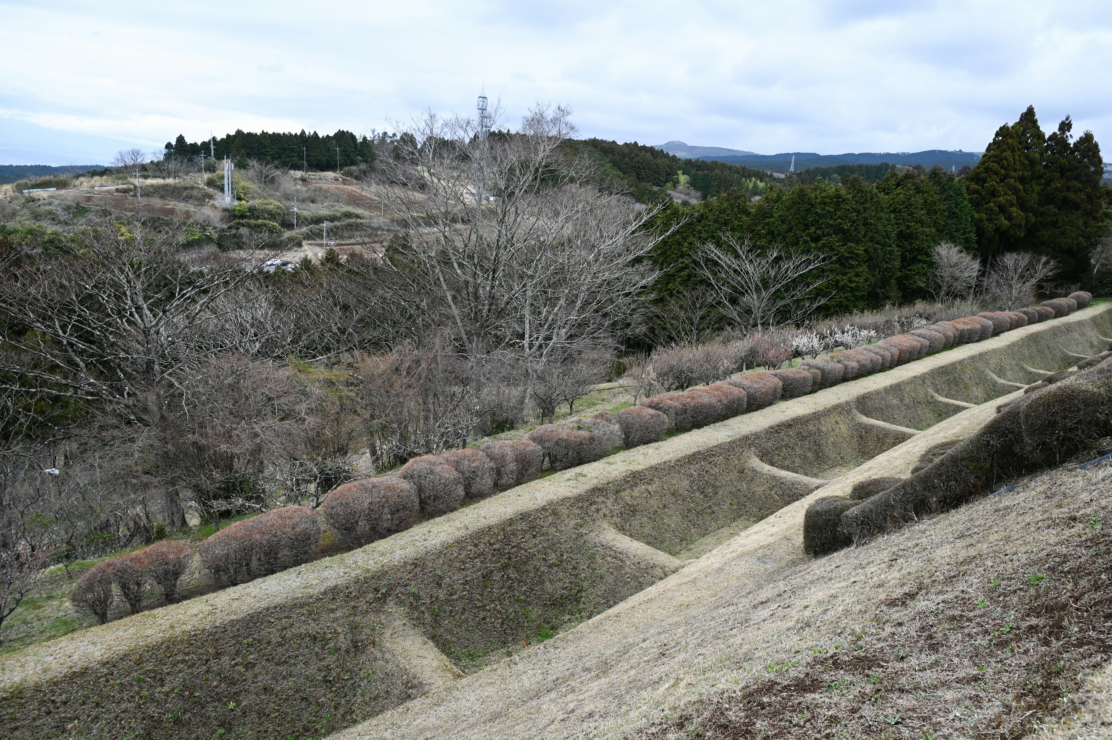 Paisaje montañoso con campos ordenados y árboles