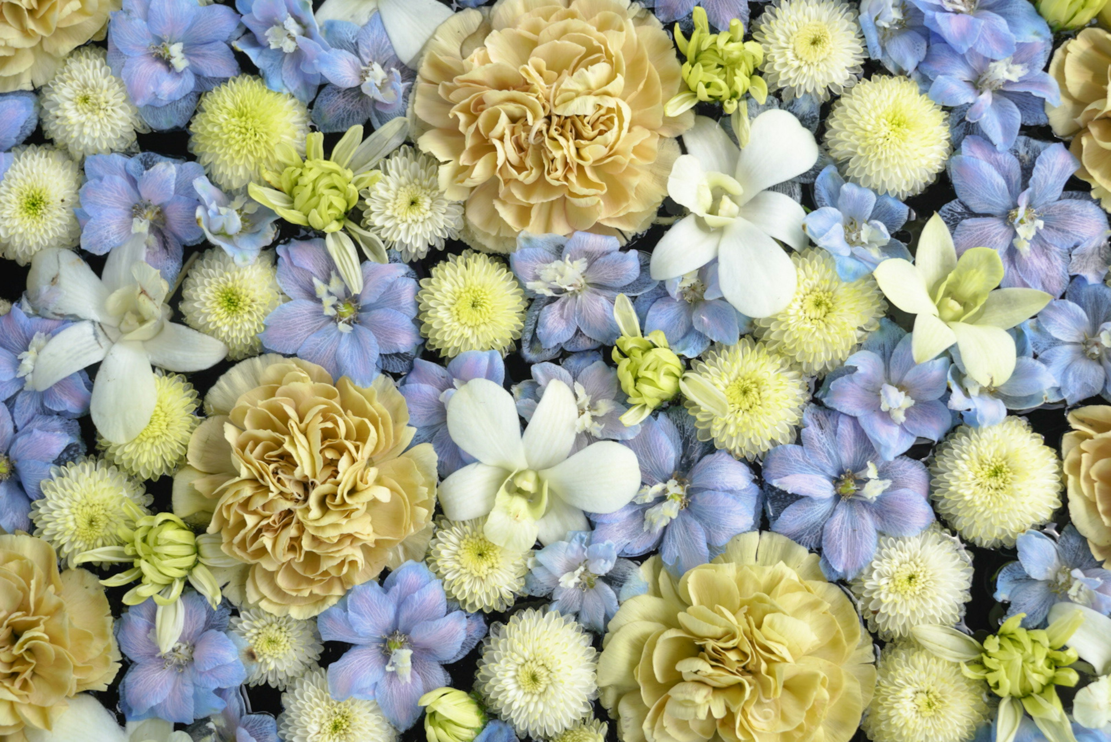 Magnifico arrangiamento floreale con fiori blu e bianchi