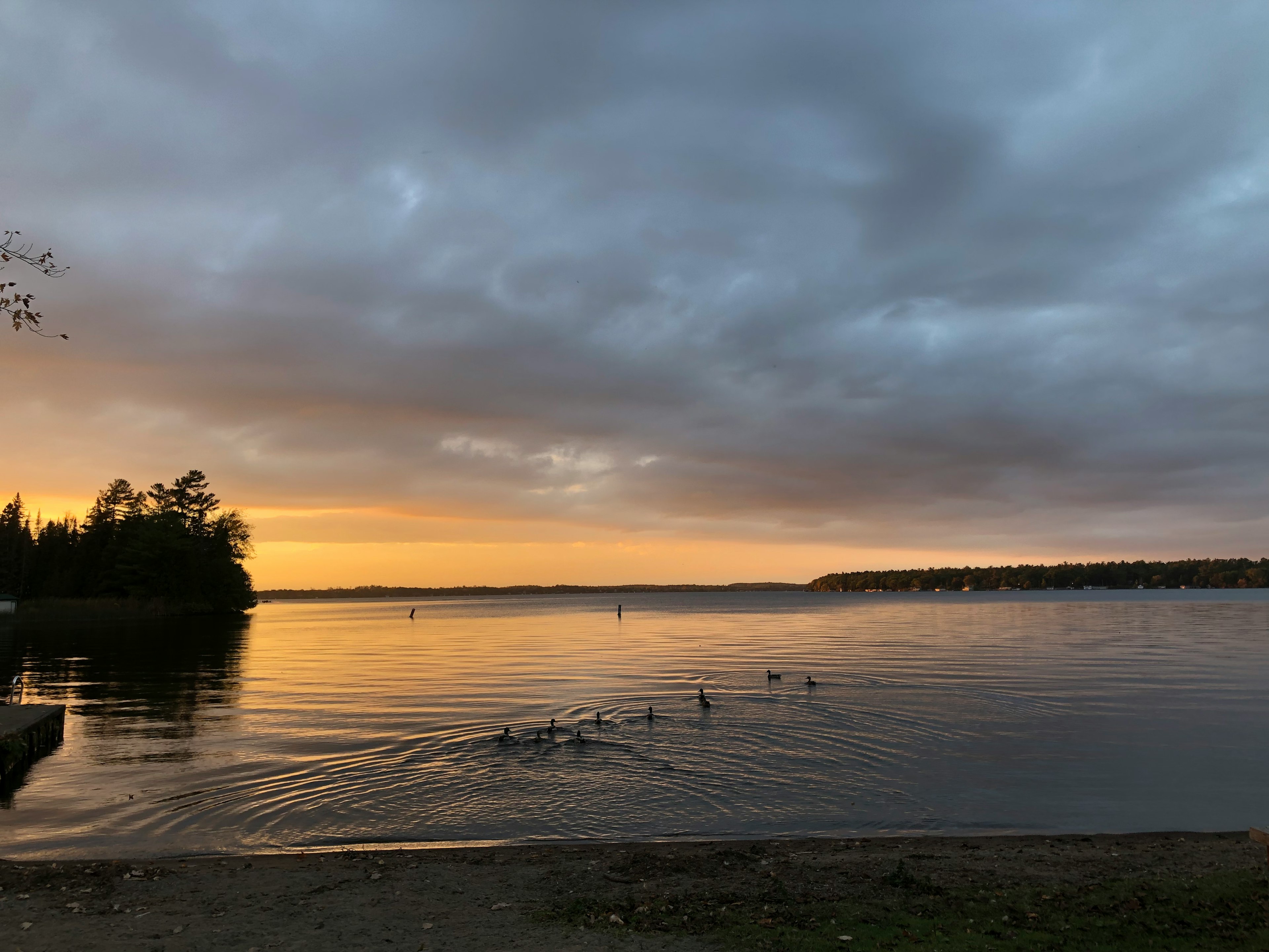 Vue d'un lac serein au coucher du soleil avec des vagues légères