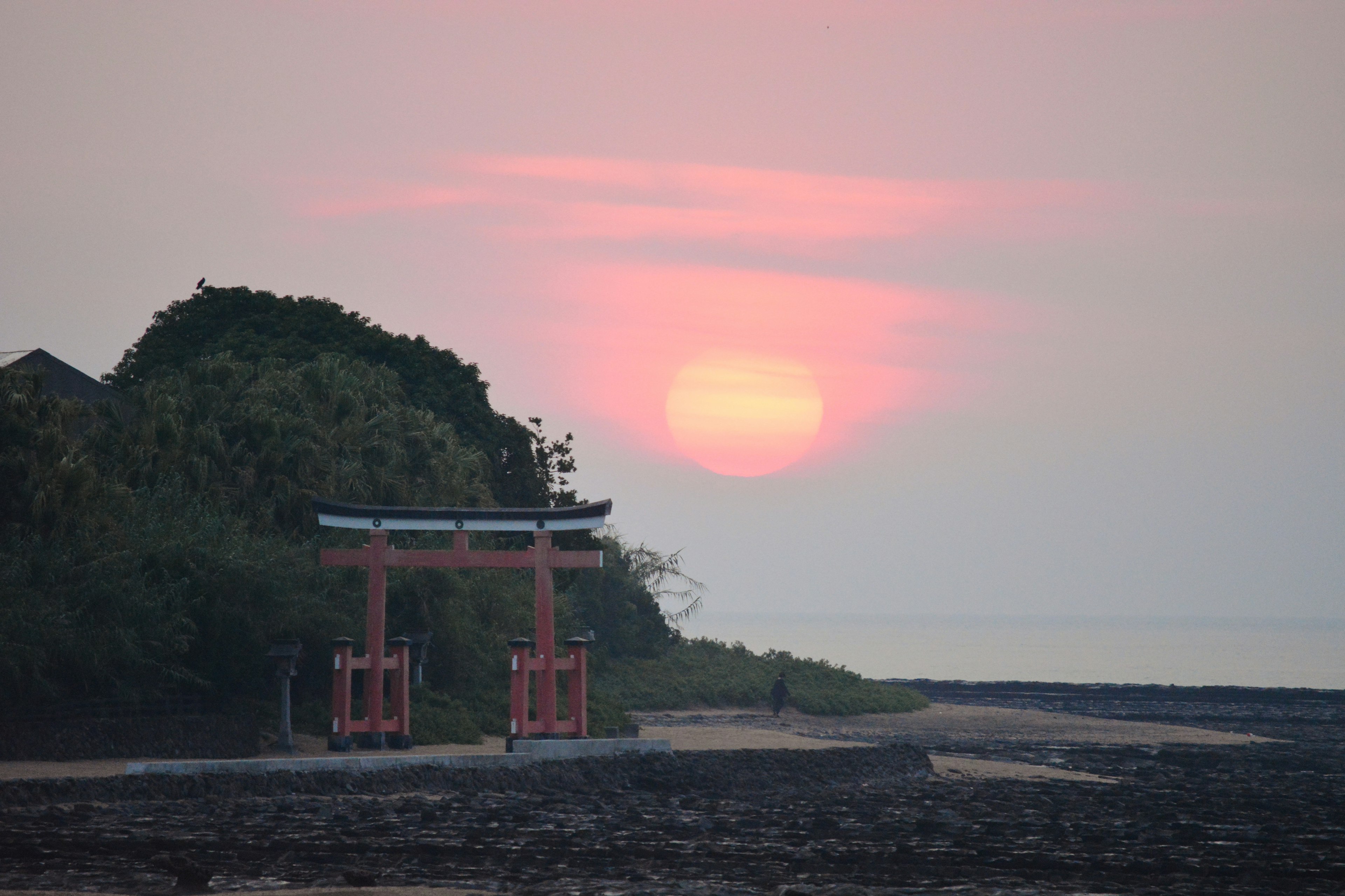 夕日が沈む海岸にある赤い鳥居と緑の丘