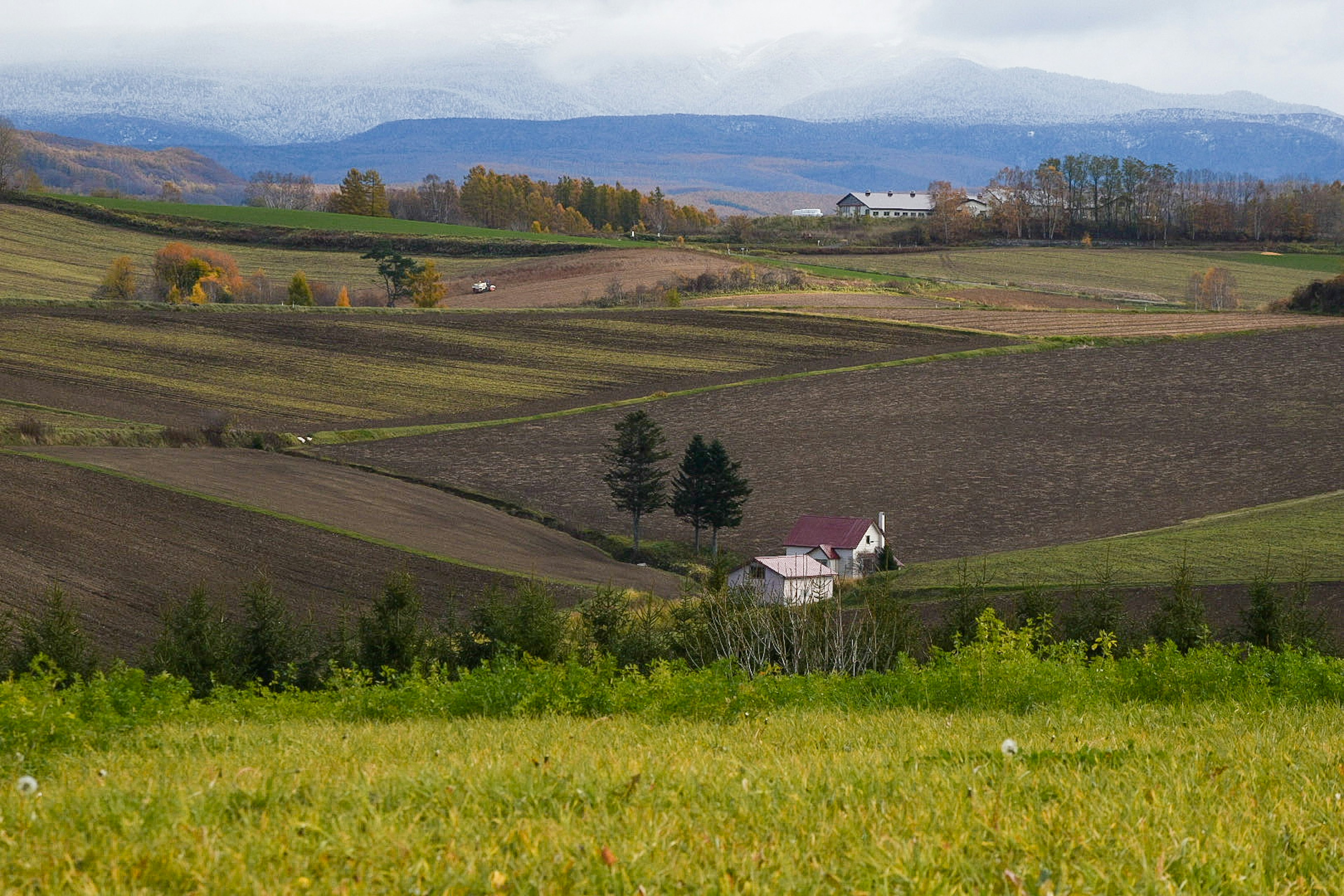 Una piccola casa circondata da colline ondulate e campi verdi