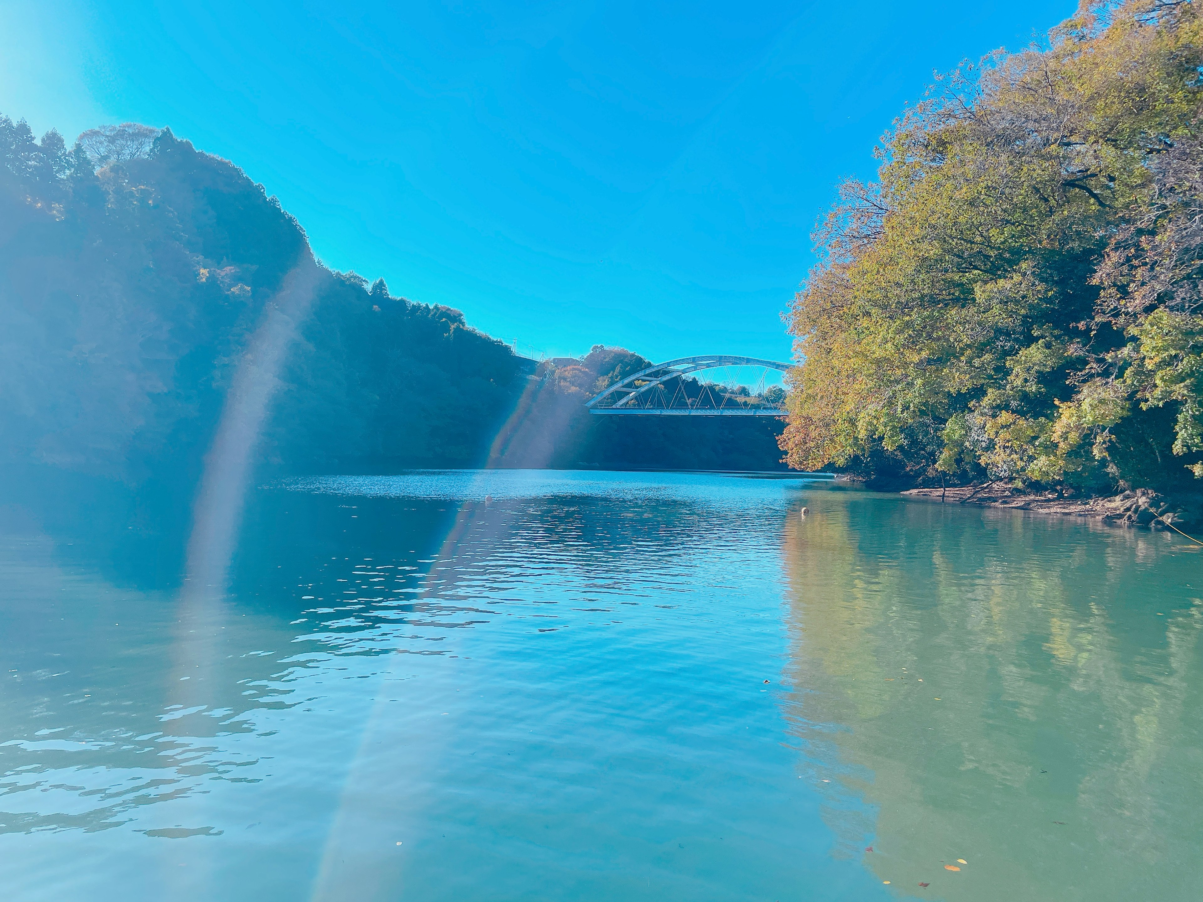 Vista escénica de un lago azul rodeado de árboles verdes exuberantes