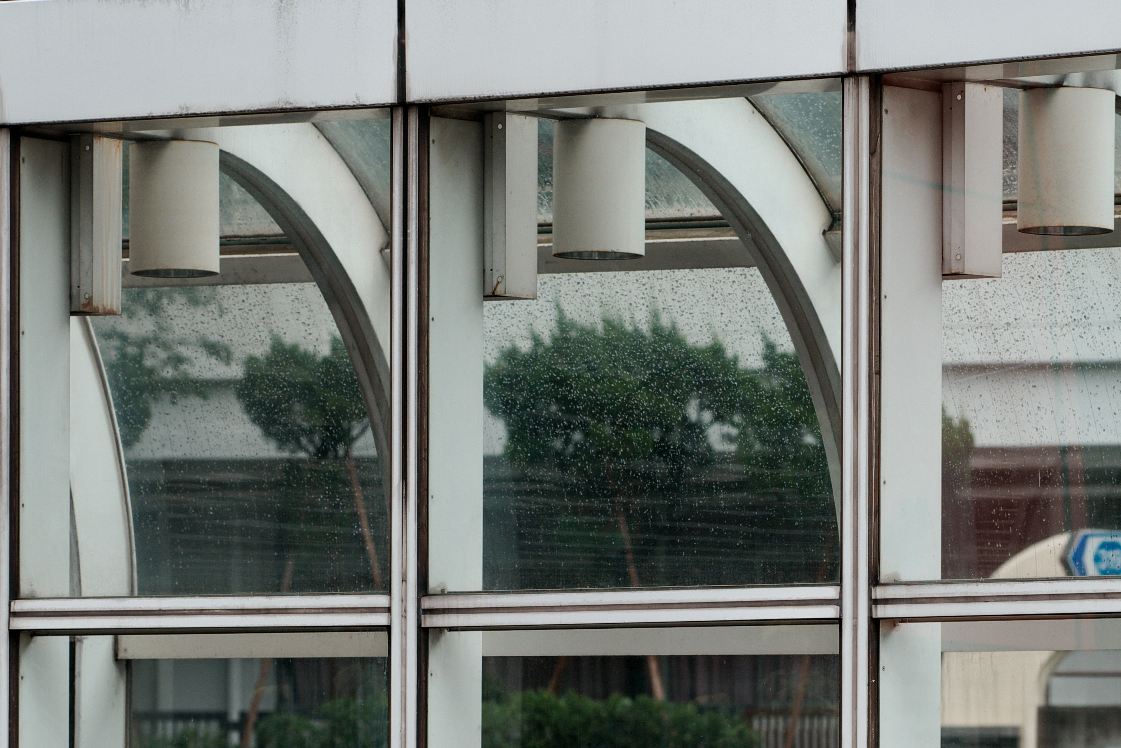 Ventanas de vidrio en forma de arco que reflejan la vegetación exterior