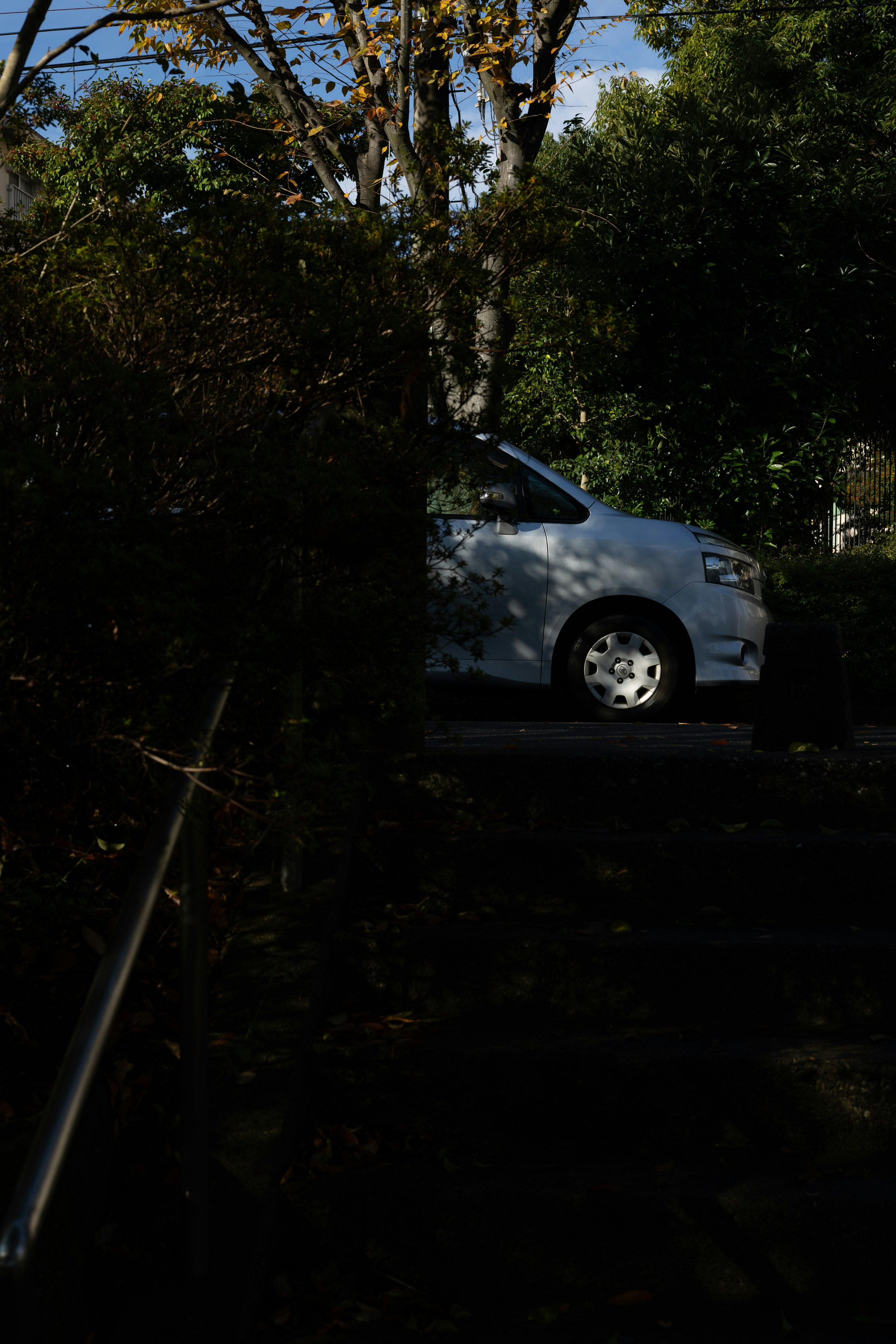 Un'auto bianca parzialmente nascosta tra gli alberi