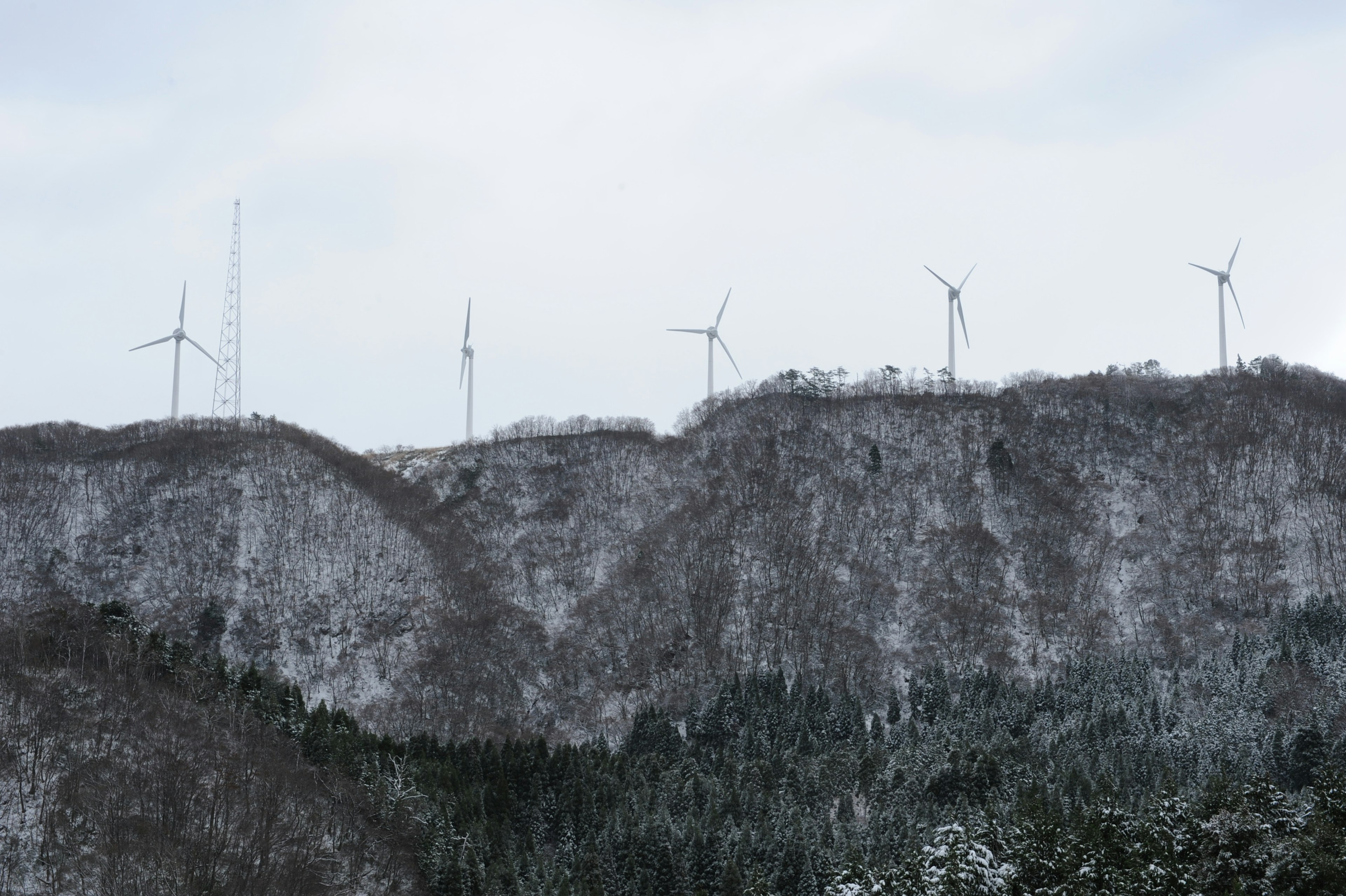 雪に覆われた山の上に立つ風力発電機が並ぶ風景