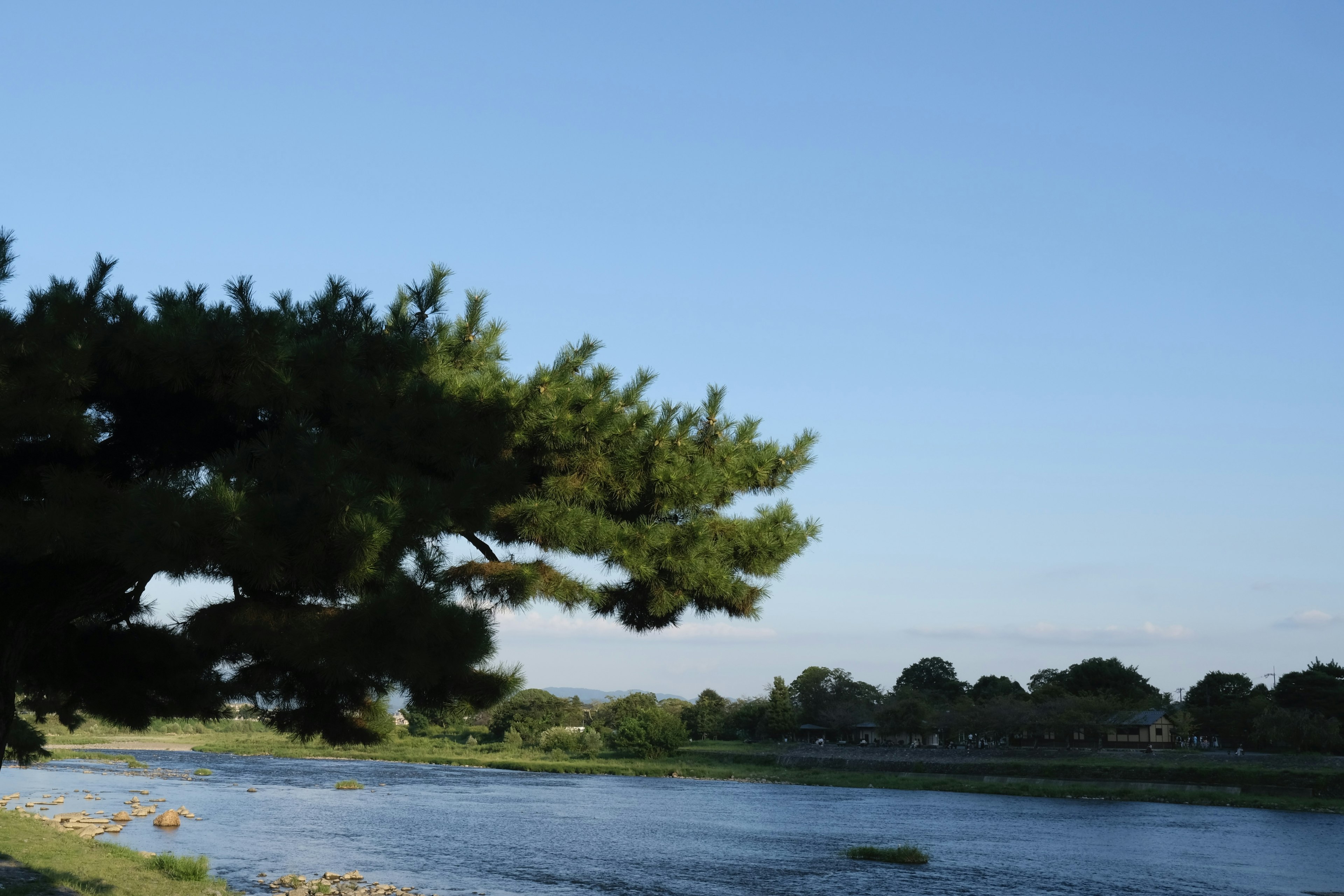 Una vista panoramica di un fiume sotto un cielo blu con alberi