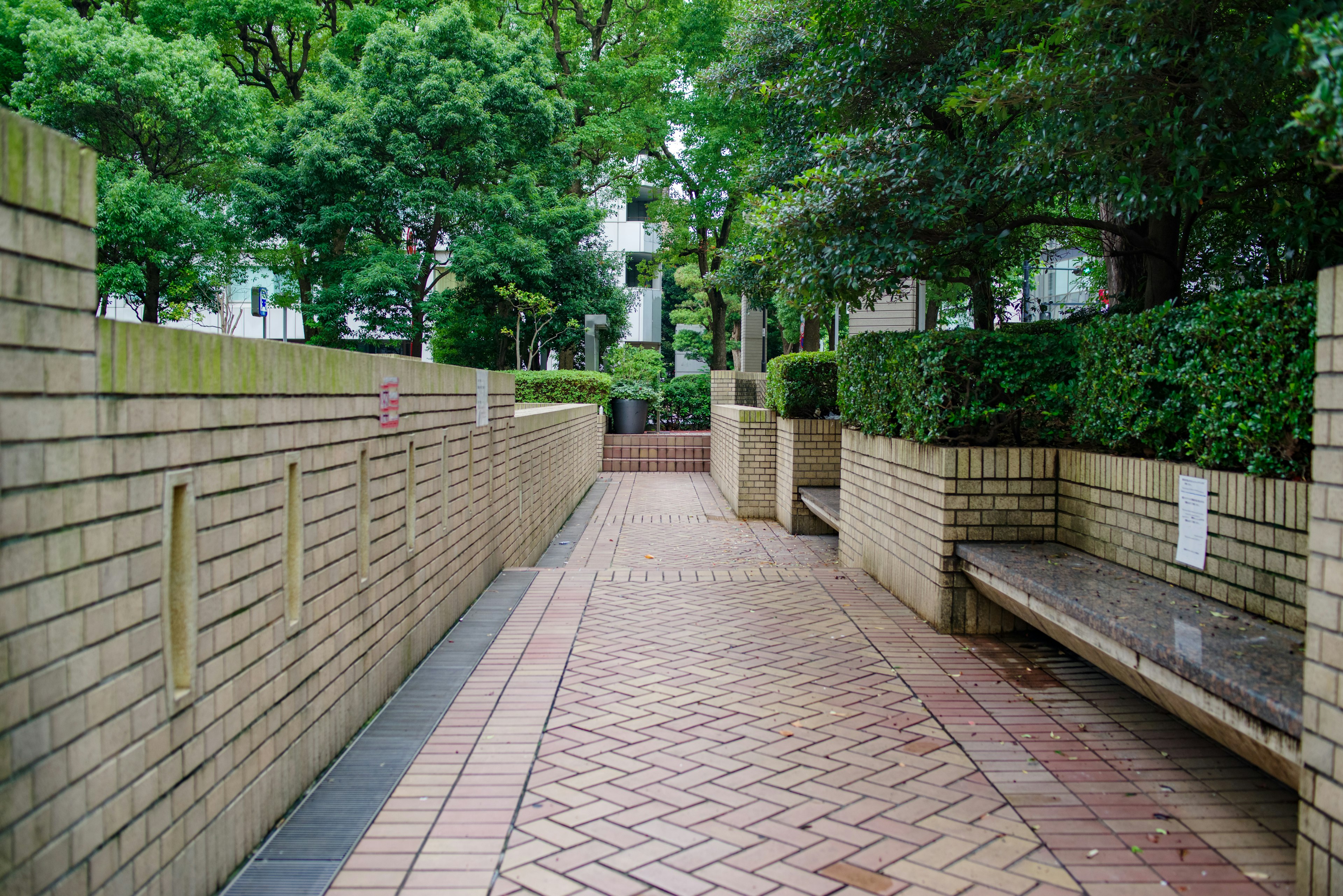 A tranquil pathway surrounded by greenery featuring brick pavement