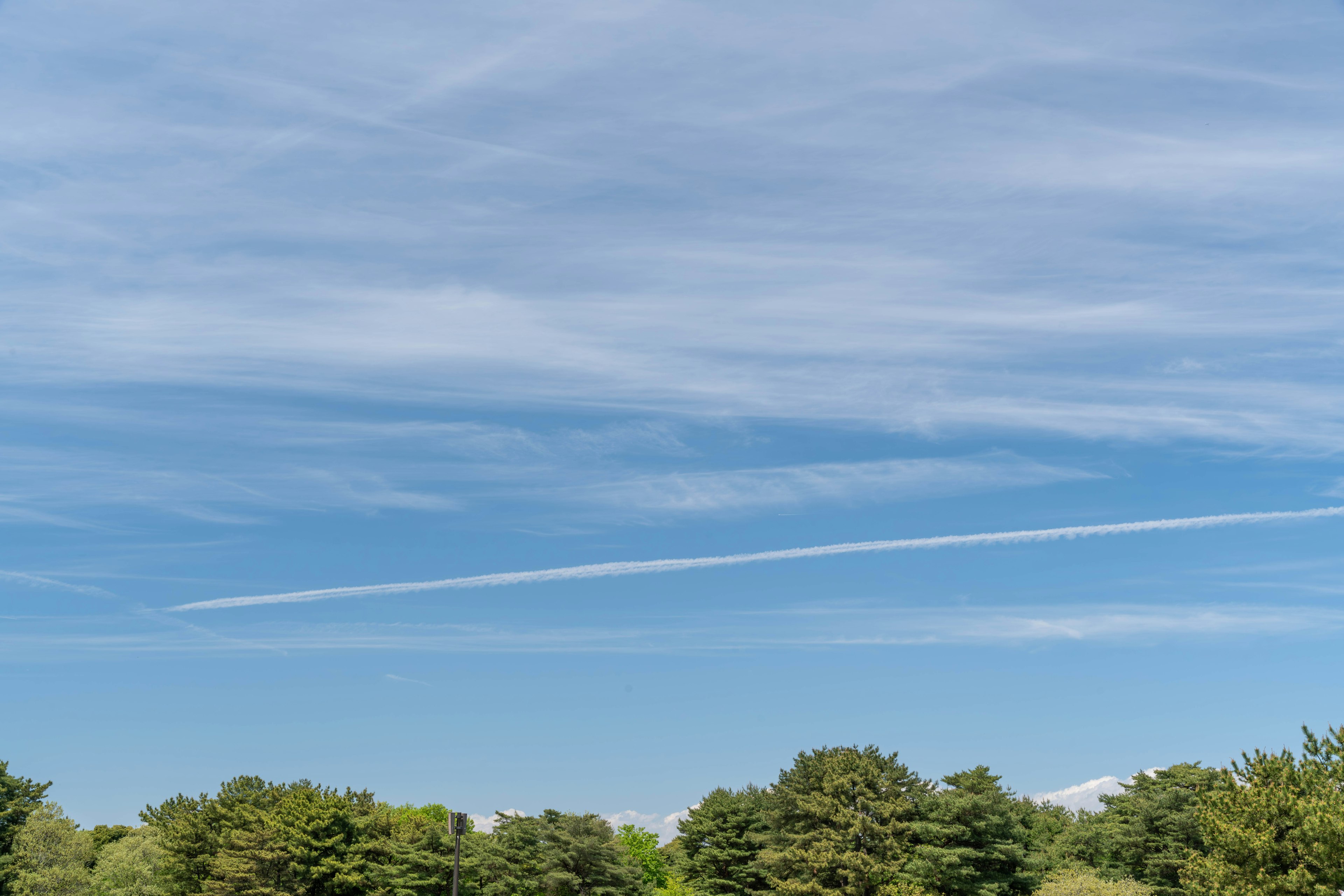 青空と白い雲が広がる風景 低い緑の木々が見える