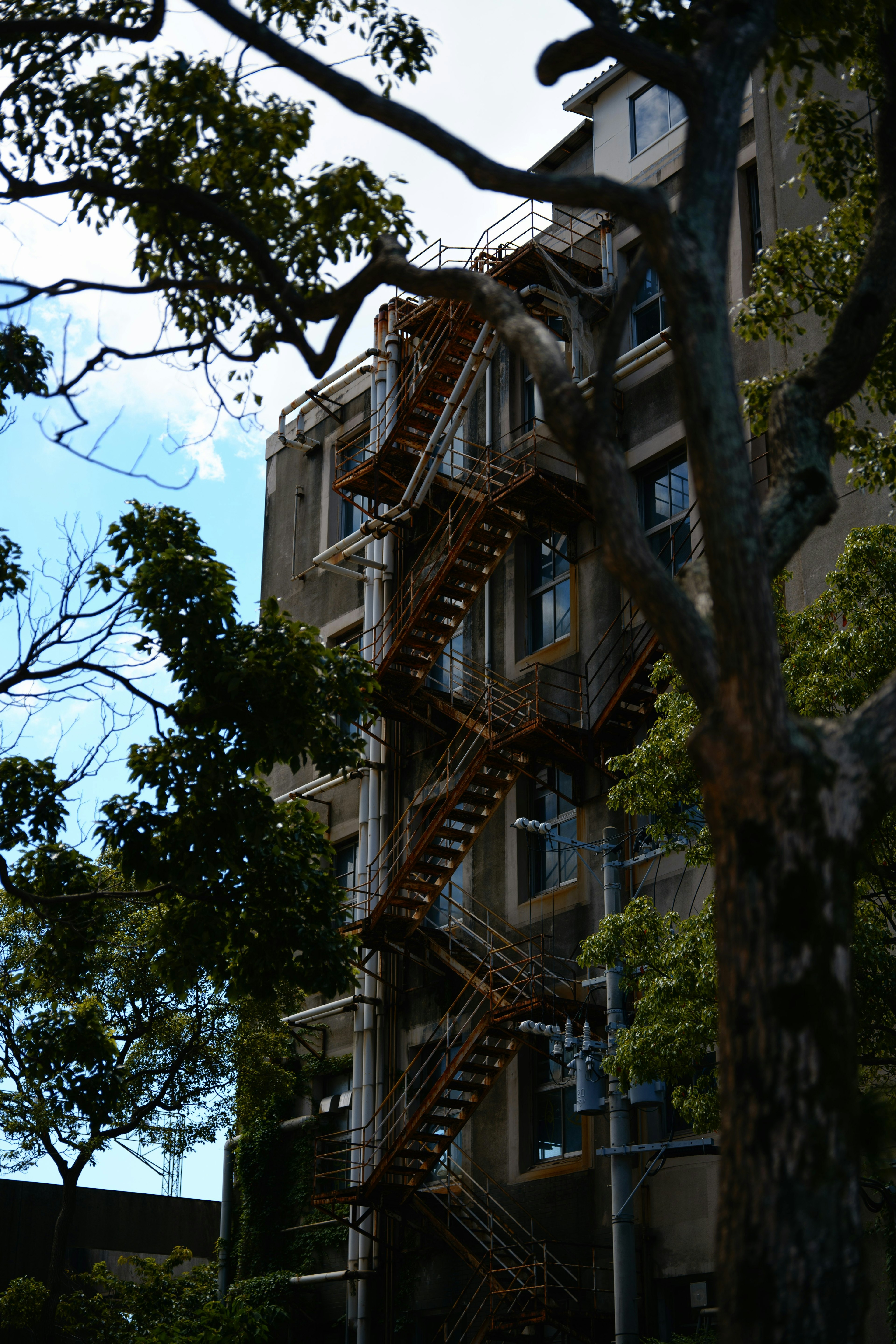 Escalier extérieur d'un bâtiment entouré d'arbres