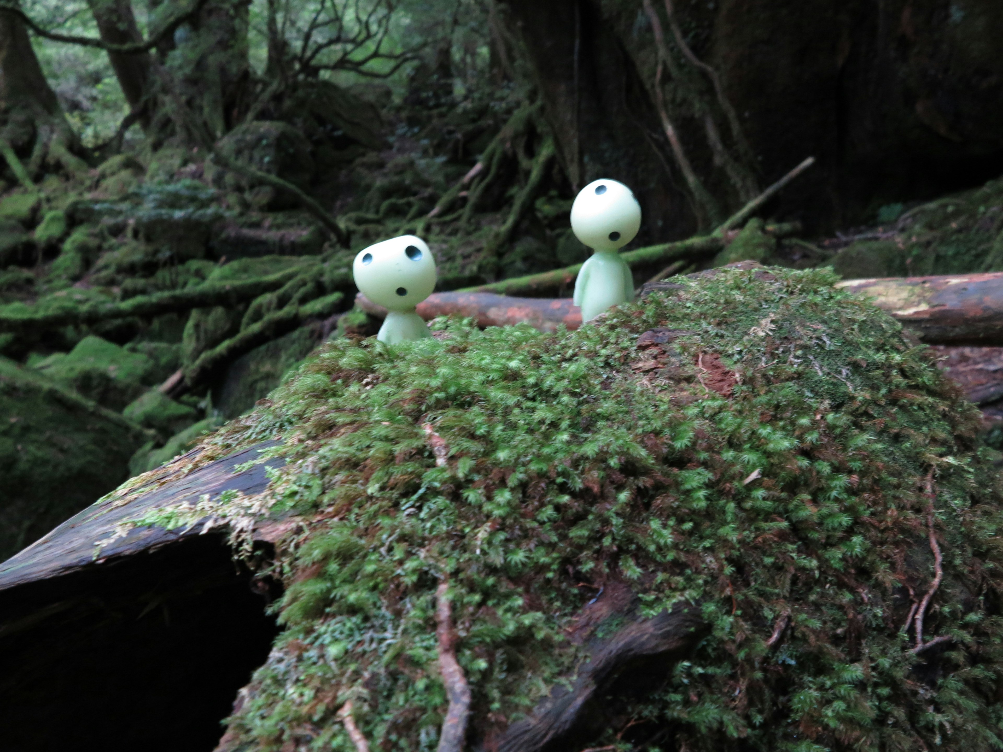 緑の苔の上に立つ二つのキャラクターがいる森の風景