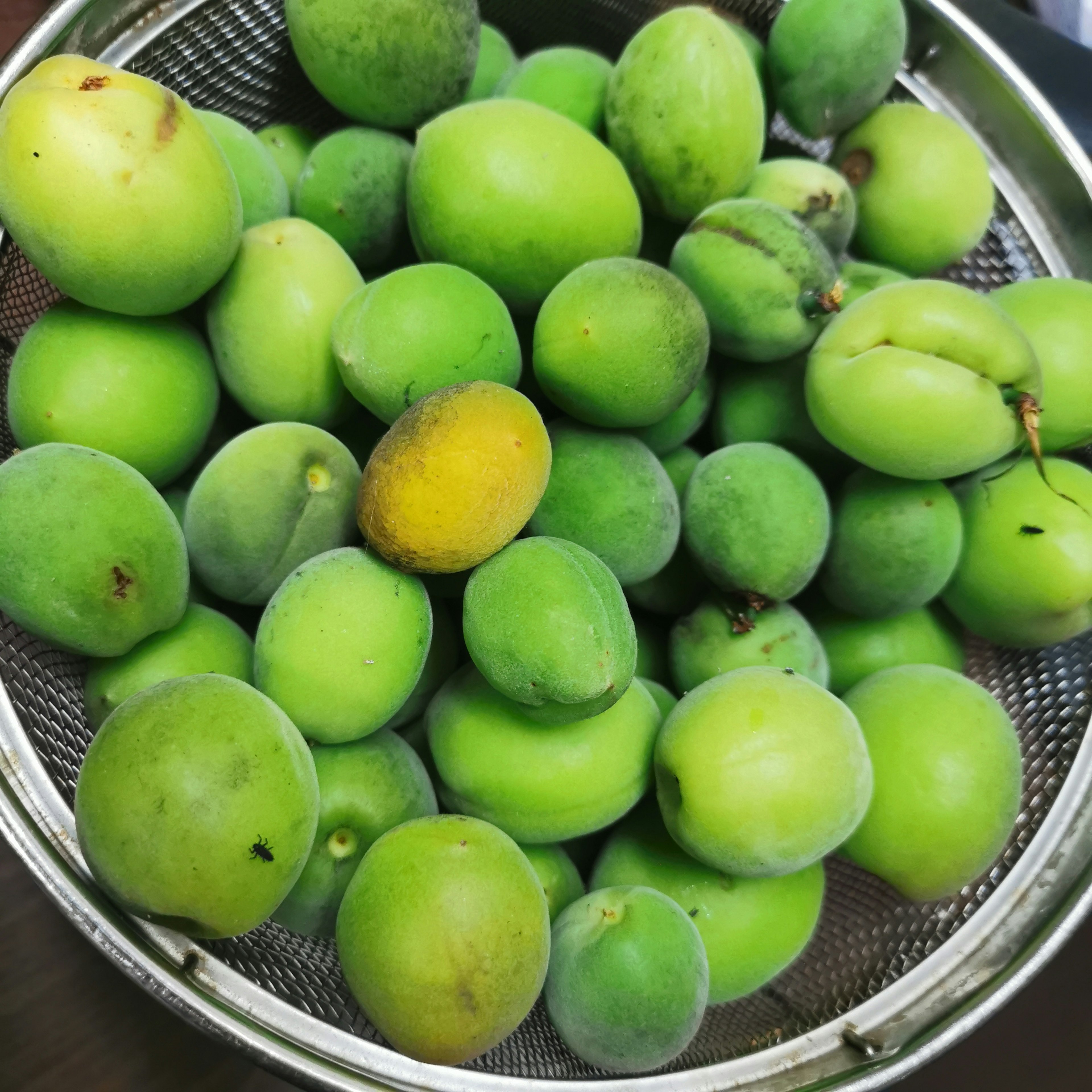 A basket filled with various green fruits