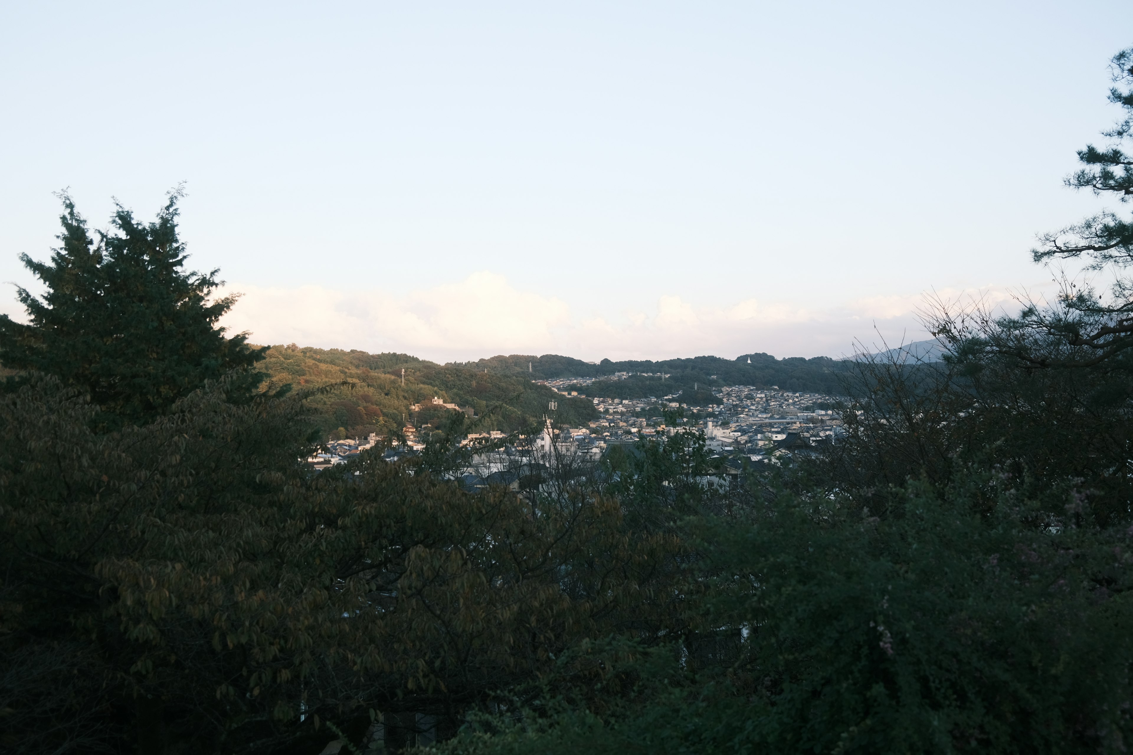 美しい山の風景と住宅が広がる風景