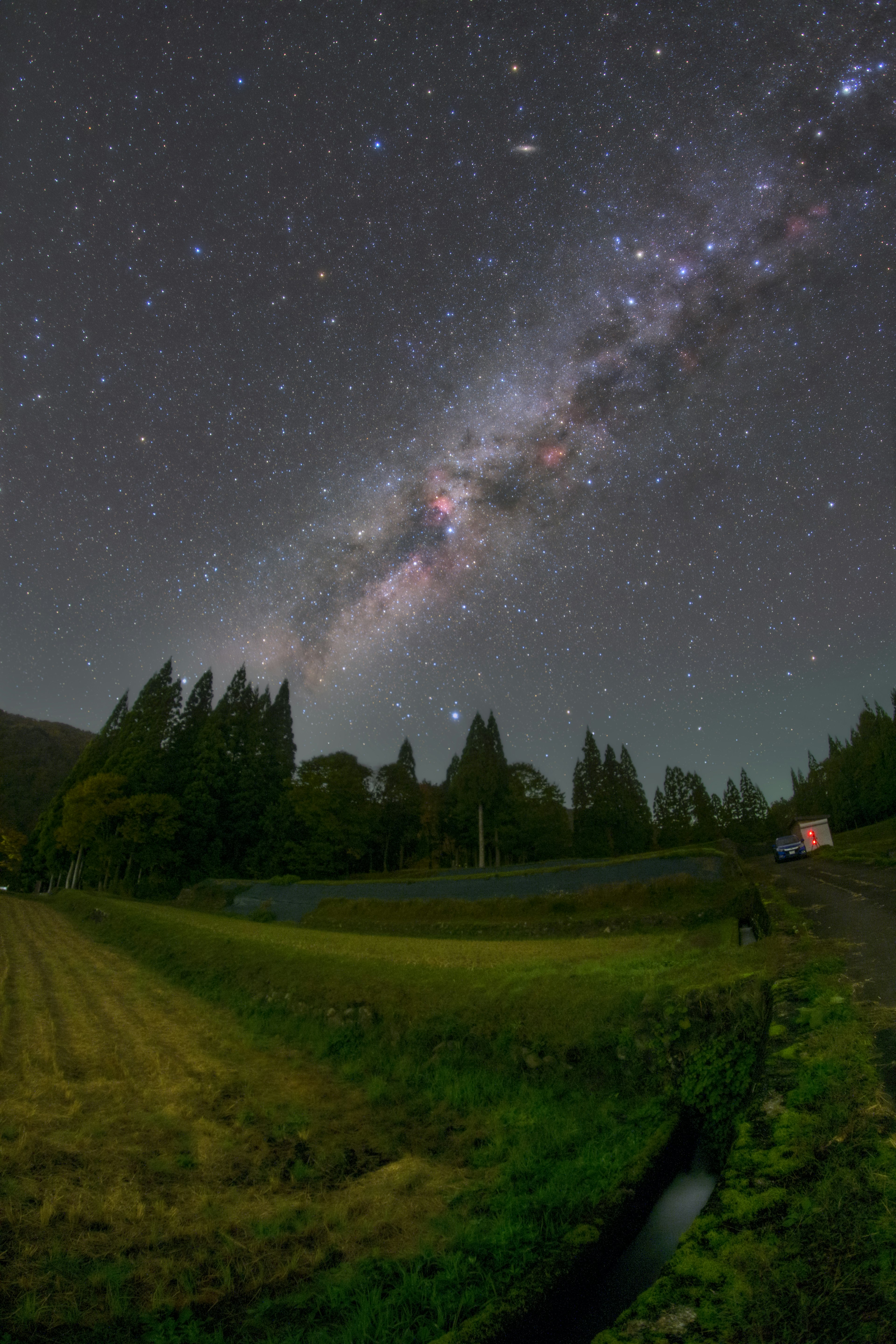 星空の下に広がる銀河と緑の風景