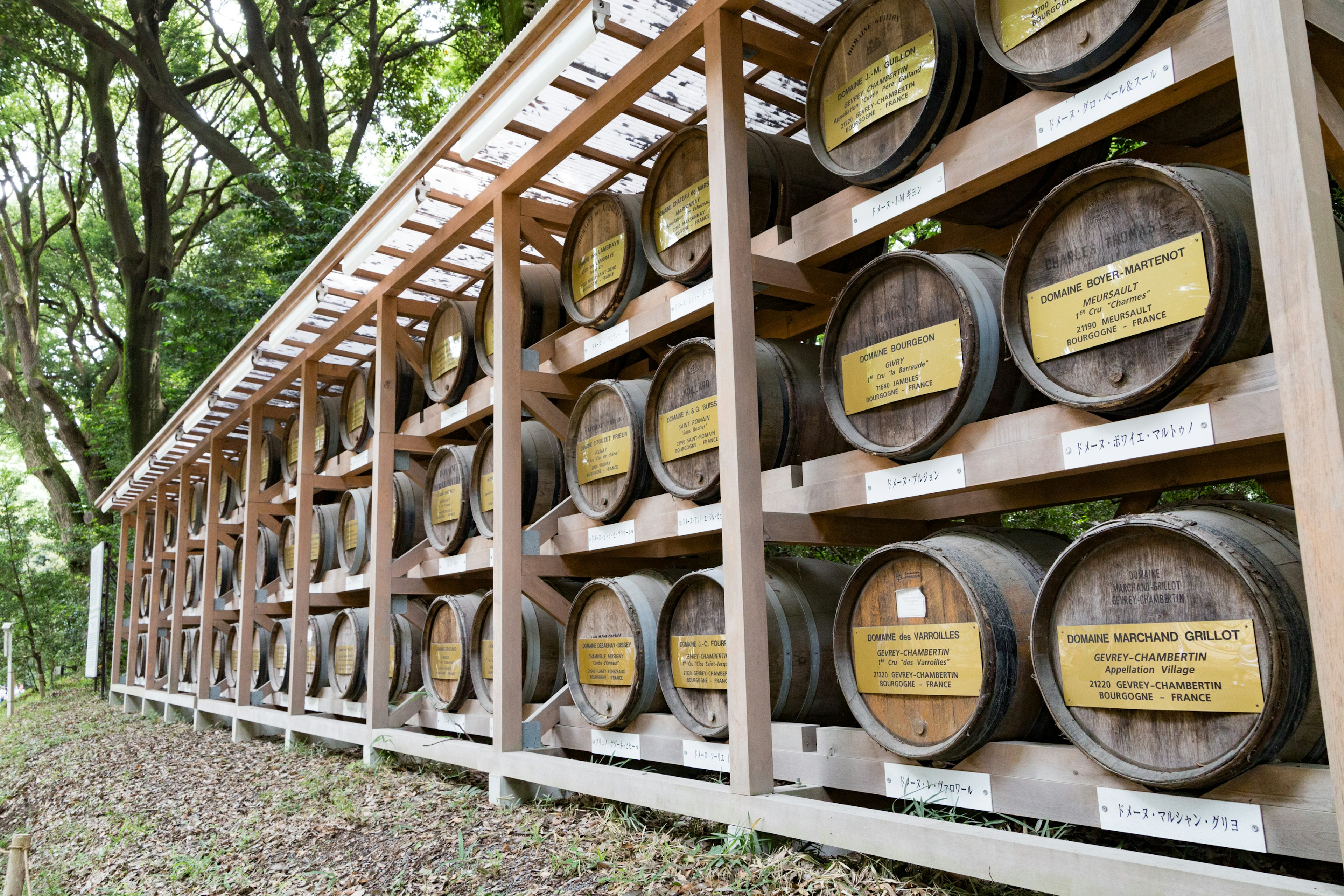 Una scaffalatura in legno con botti etichettate circondata da vegetazione