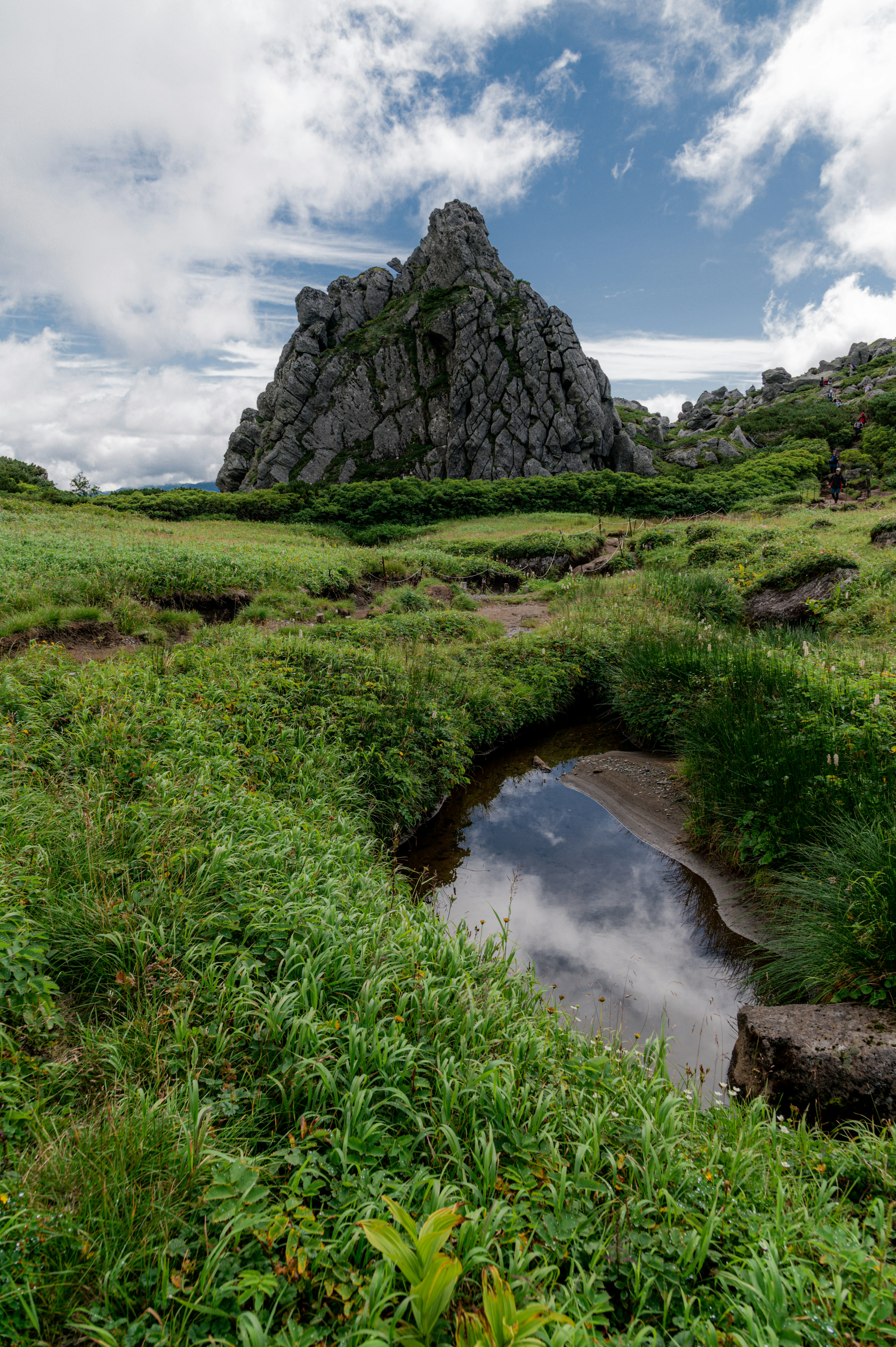 Una grande roccia circondata da verde lussureggiante e un piccolo ruscello