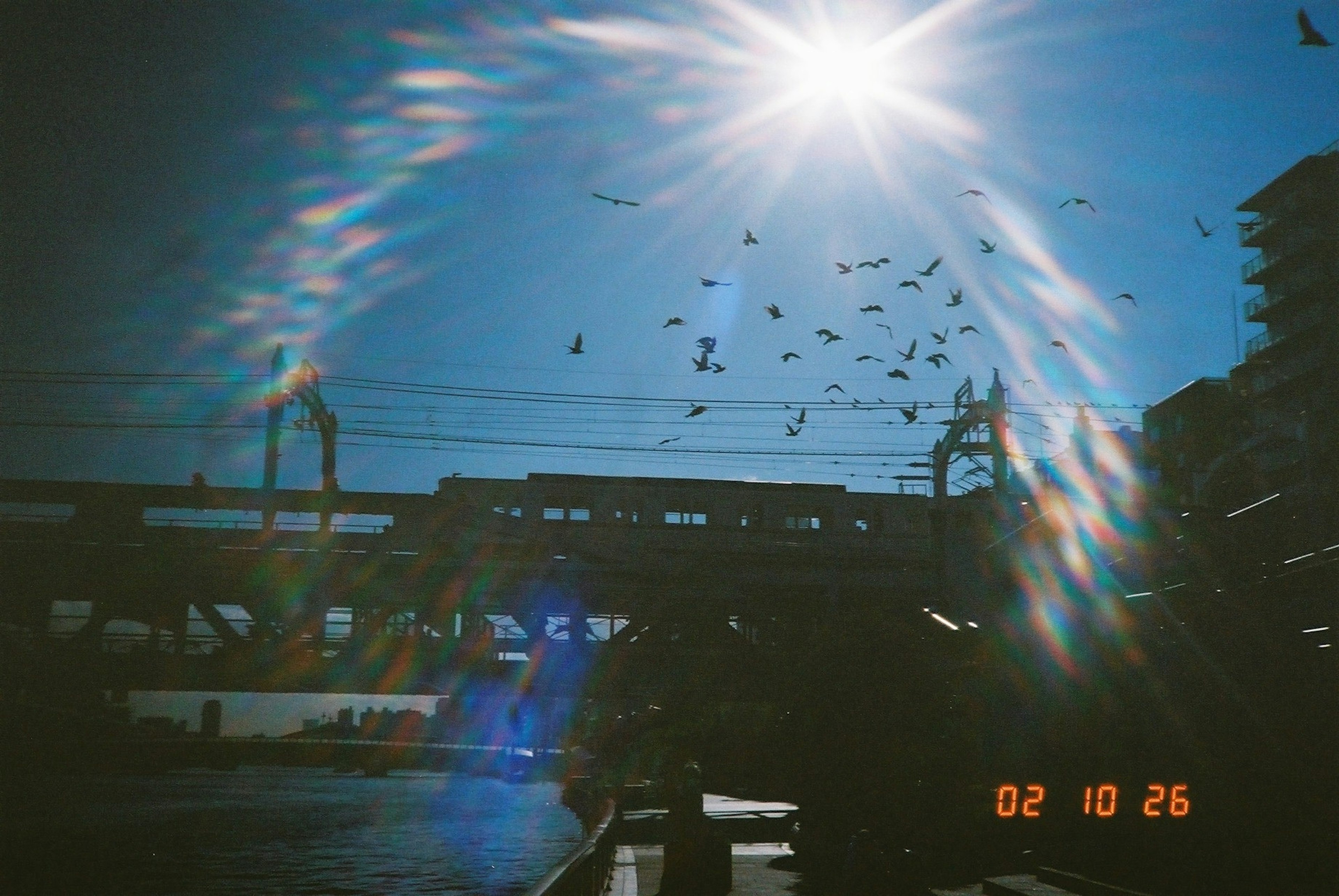 Un ciel bleu vif avec des oiseaux en vol et la lumière du soleil réfléchie