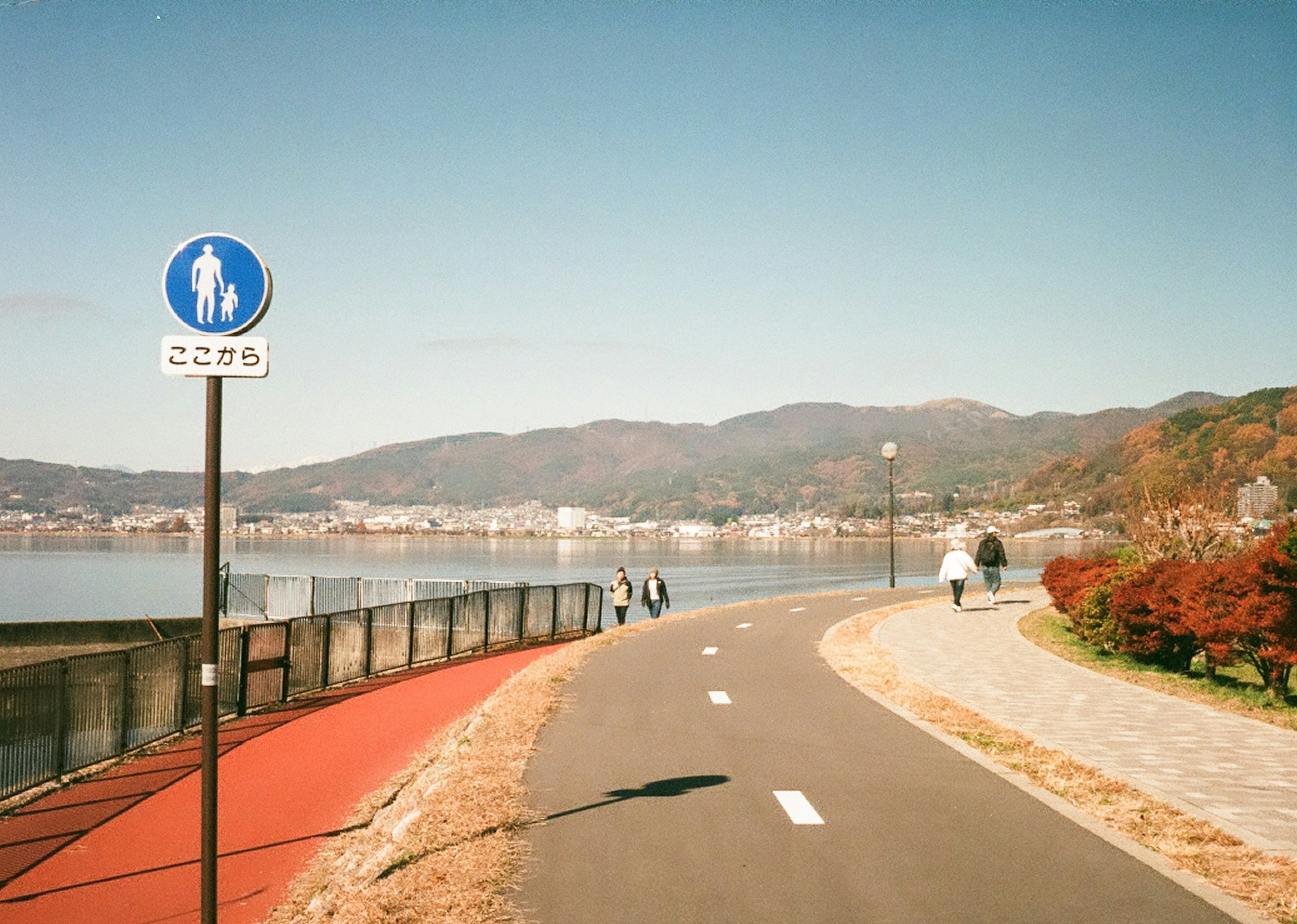 穏やかな湖のそばの自転車道と歩道の風景