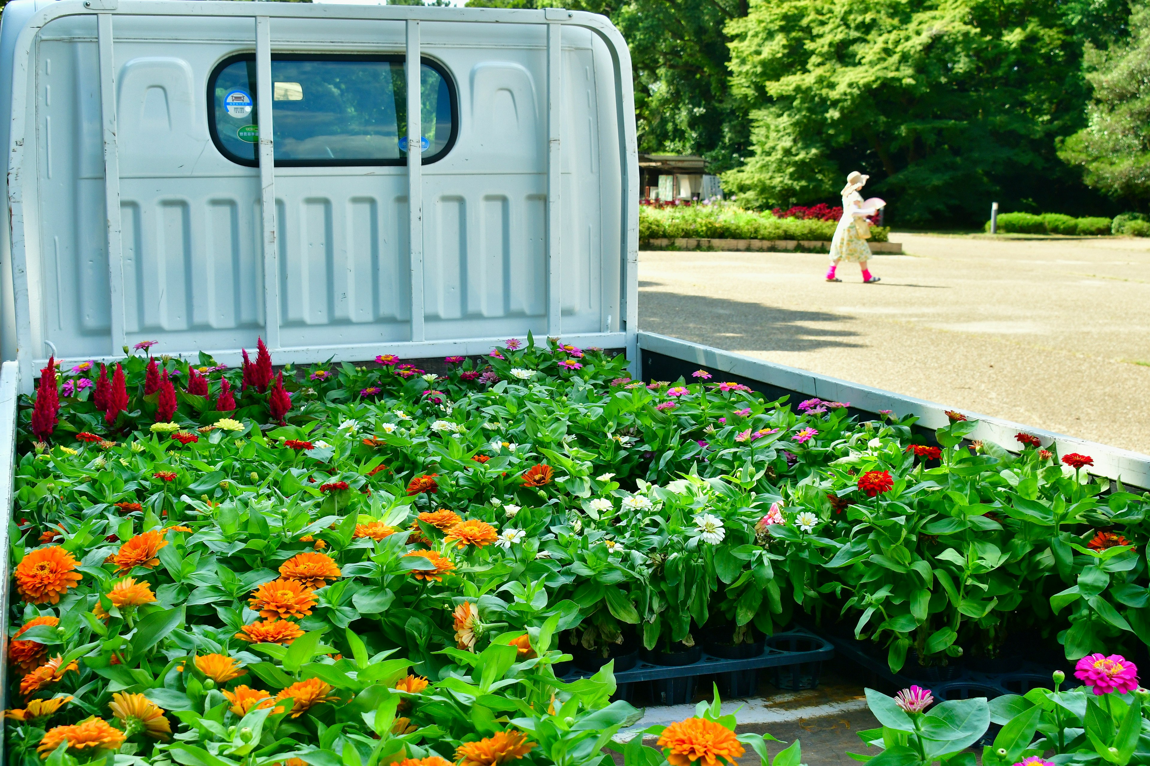 Flores coloridas llenas en la parte trasera de una camioneta blanca