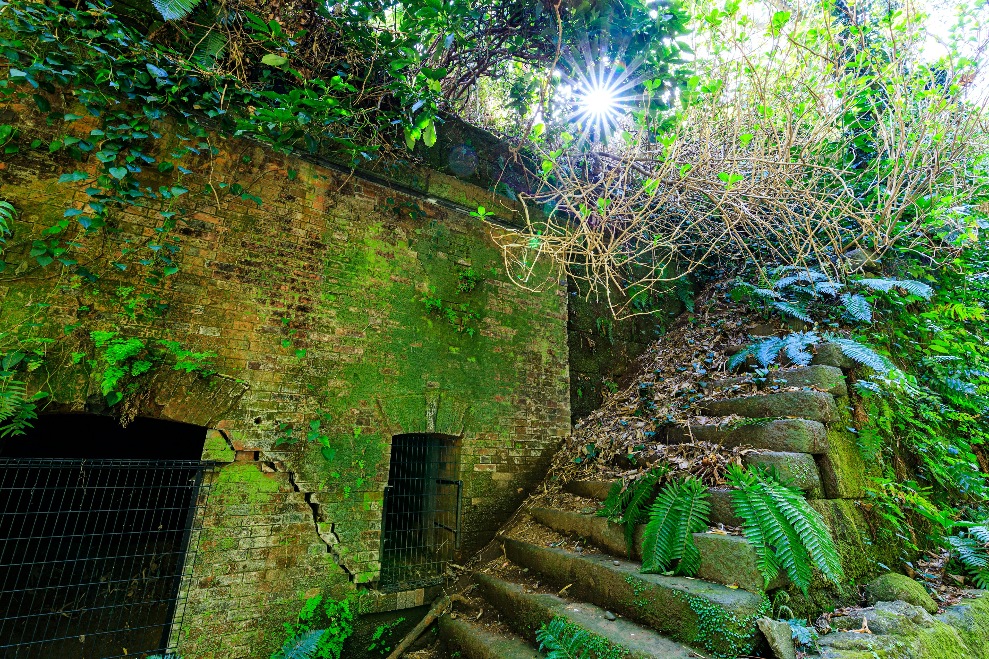 Un paysage avec un vieux mur envahi par la végétation et un escalier