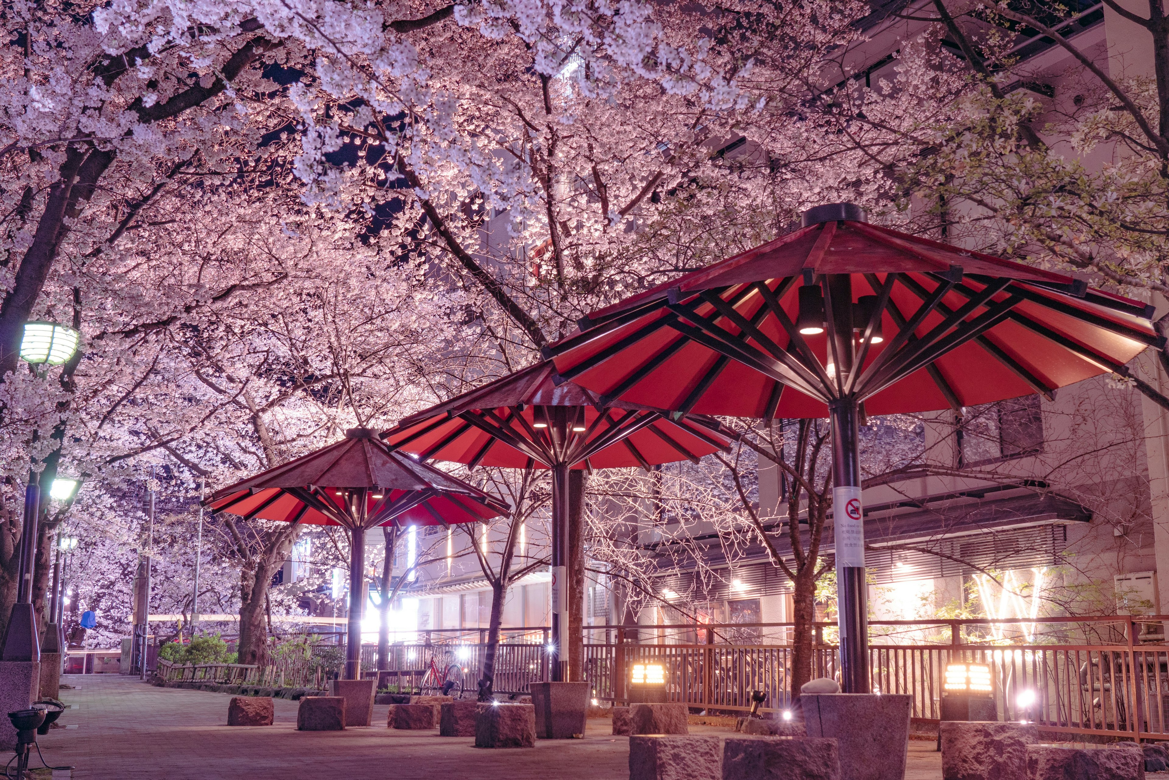 Red-roofed pavilions under cherry blossom trees at night