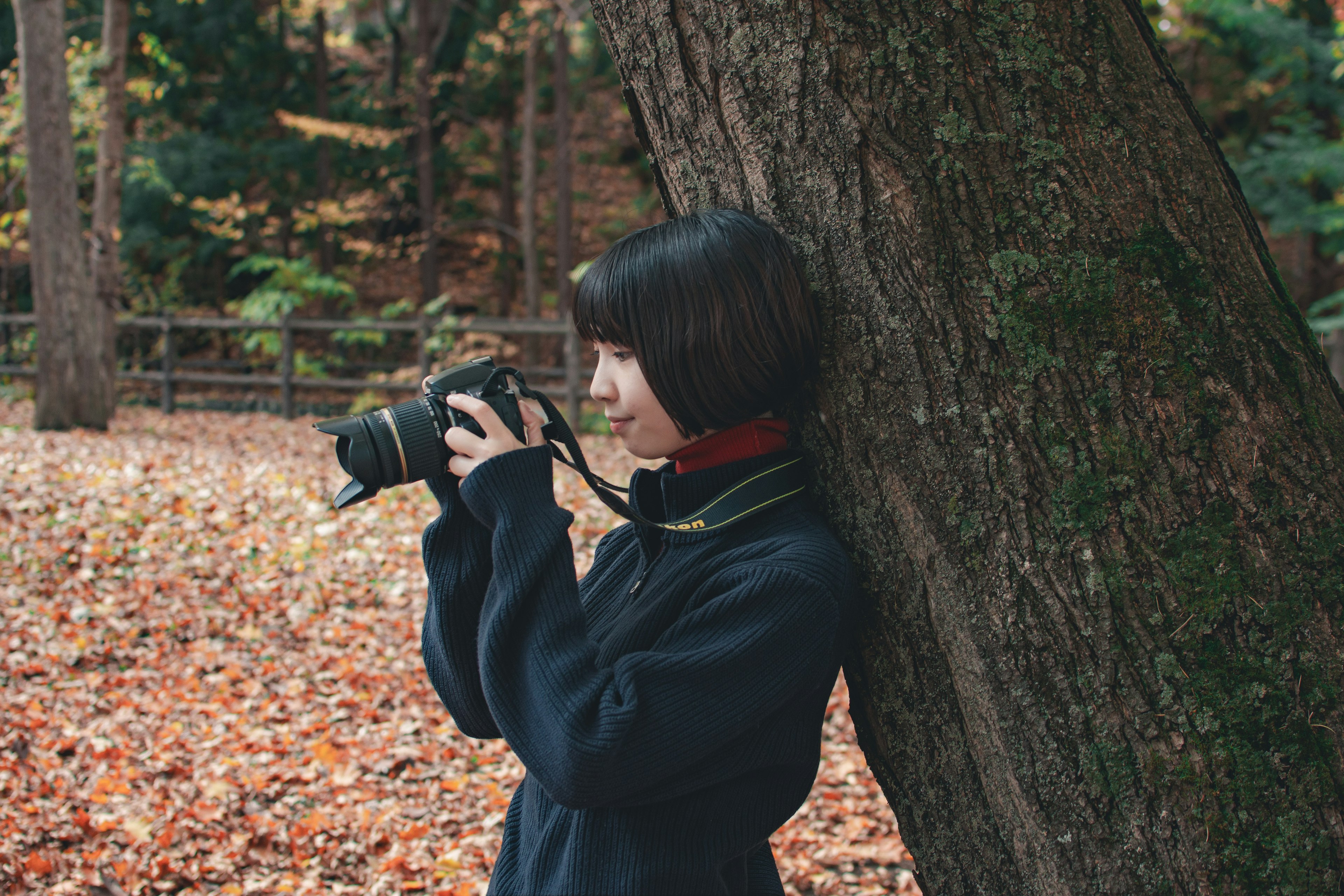 木の幹に寄りかかってカメラを持つ女性の写真