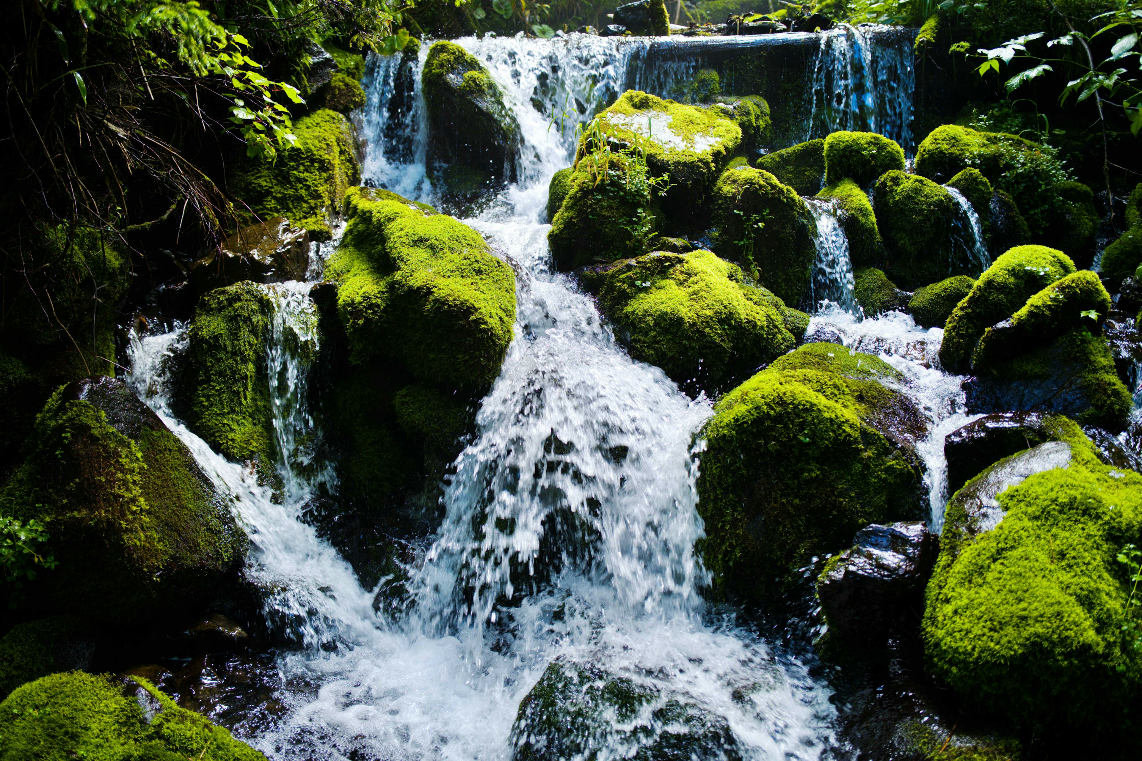 Un arroyo claro que cae sobre rocas cubiertas de musgo