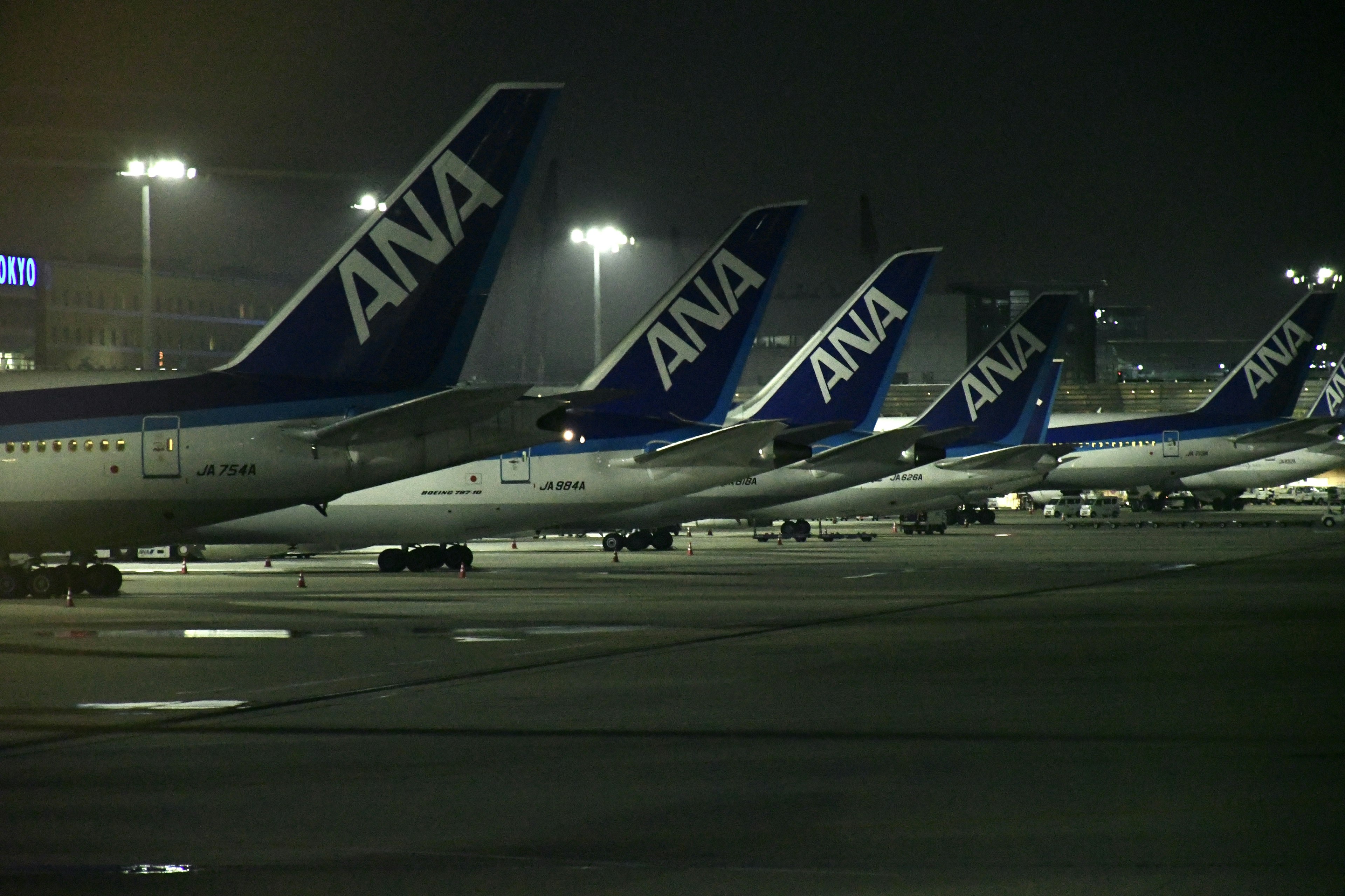 Night view of ANA airplanes lined up at the airport