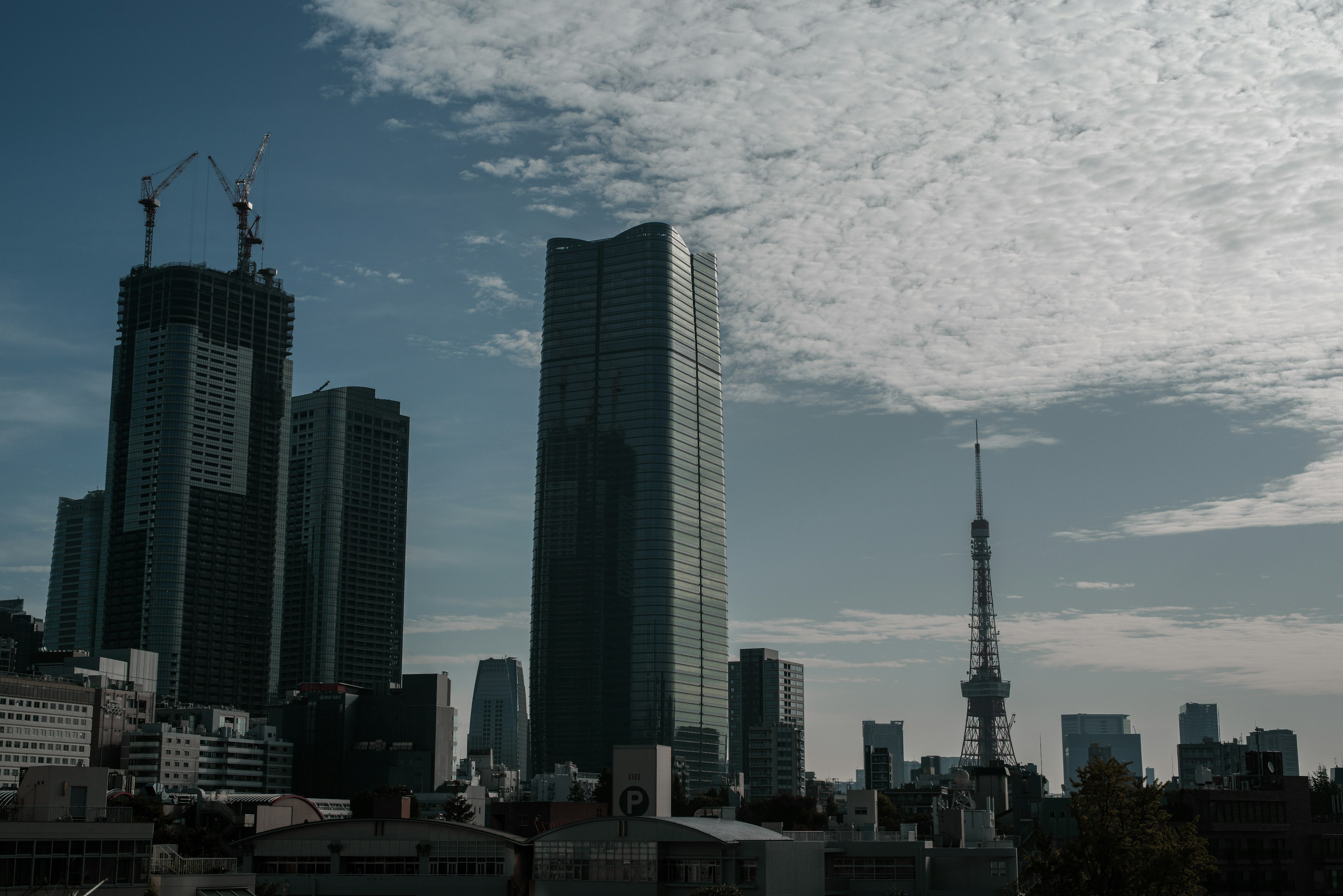 東京の高層ビル群とスカイツリーが見える風景