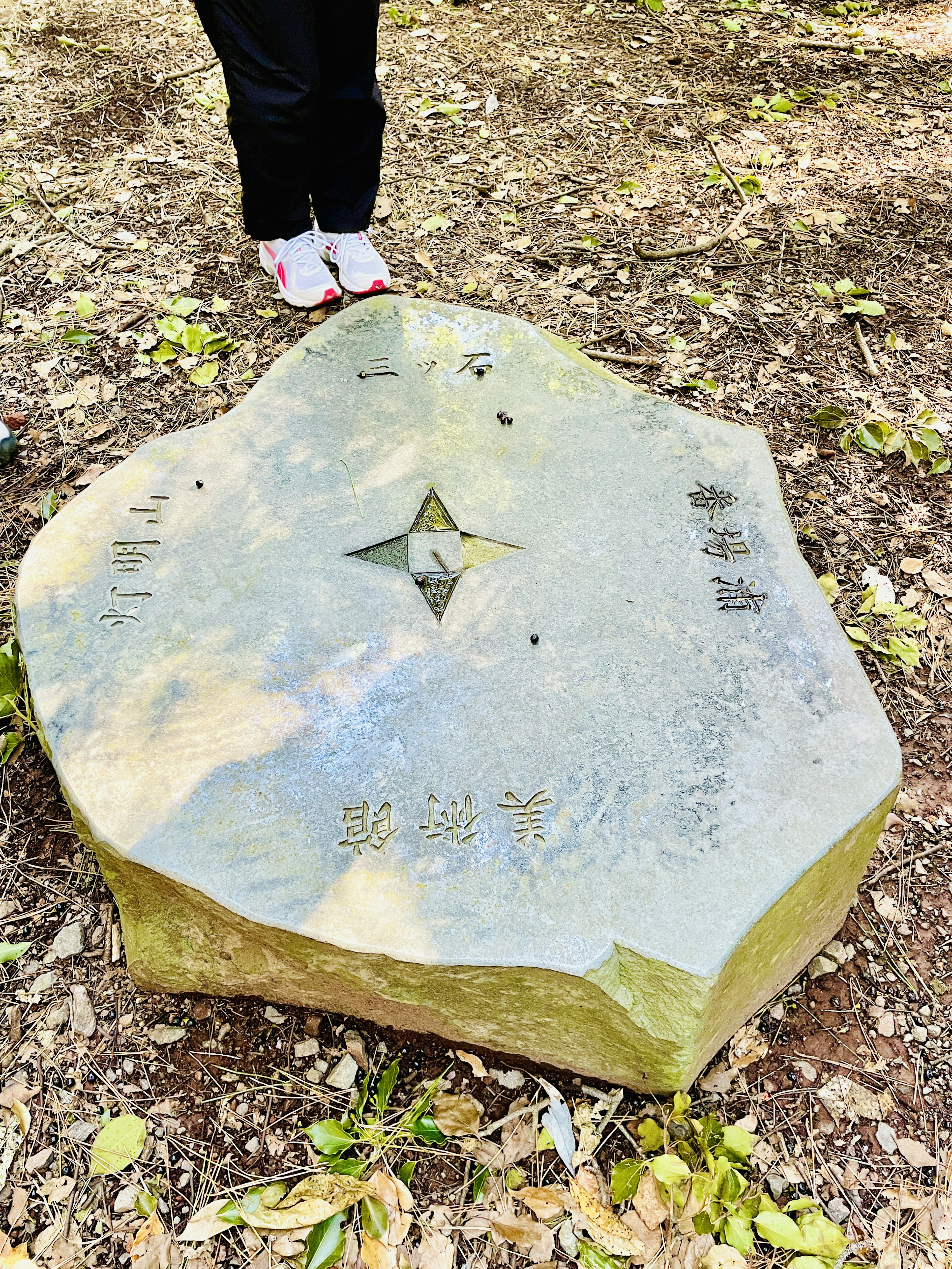 A uniquely shaped stone with a star pattern on top surrounded by nature