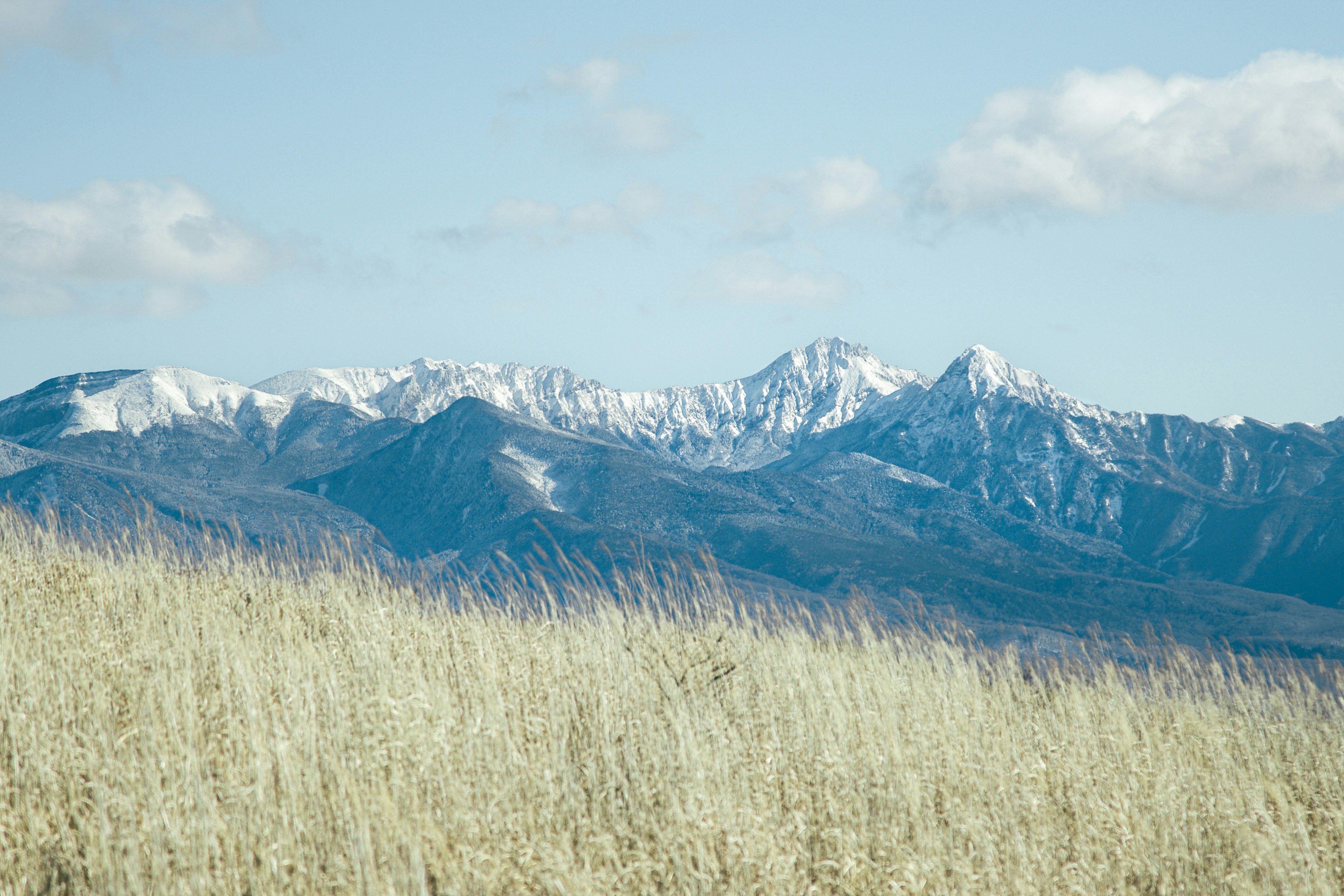 Berglandschaft mit schneebedeckten Gipfeln und grasigem Vordergrund