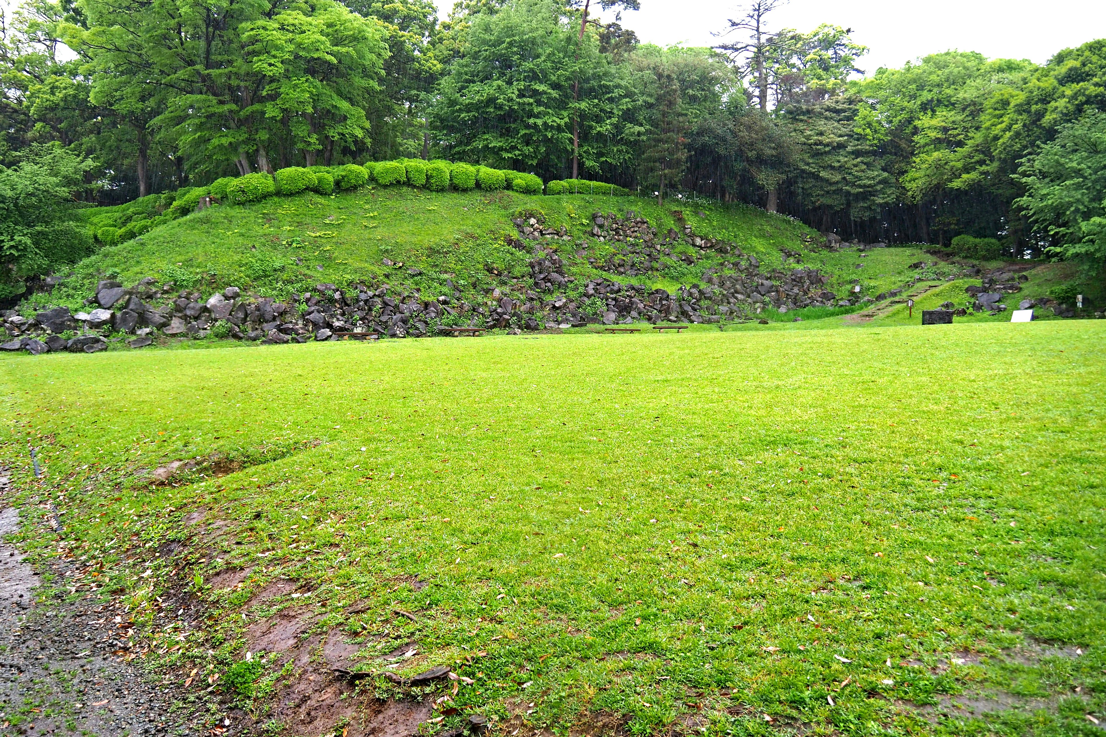 Lush green meadow with a small hill and rocky terrain