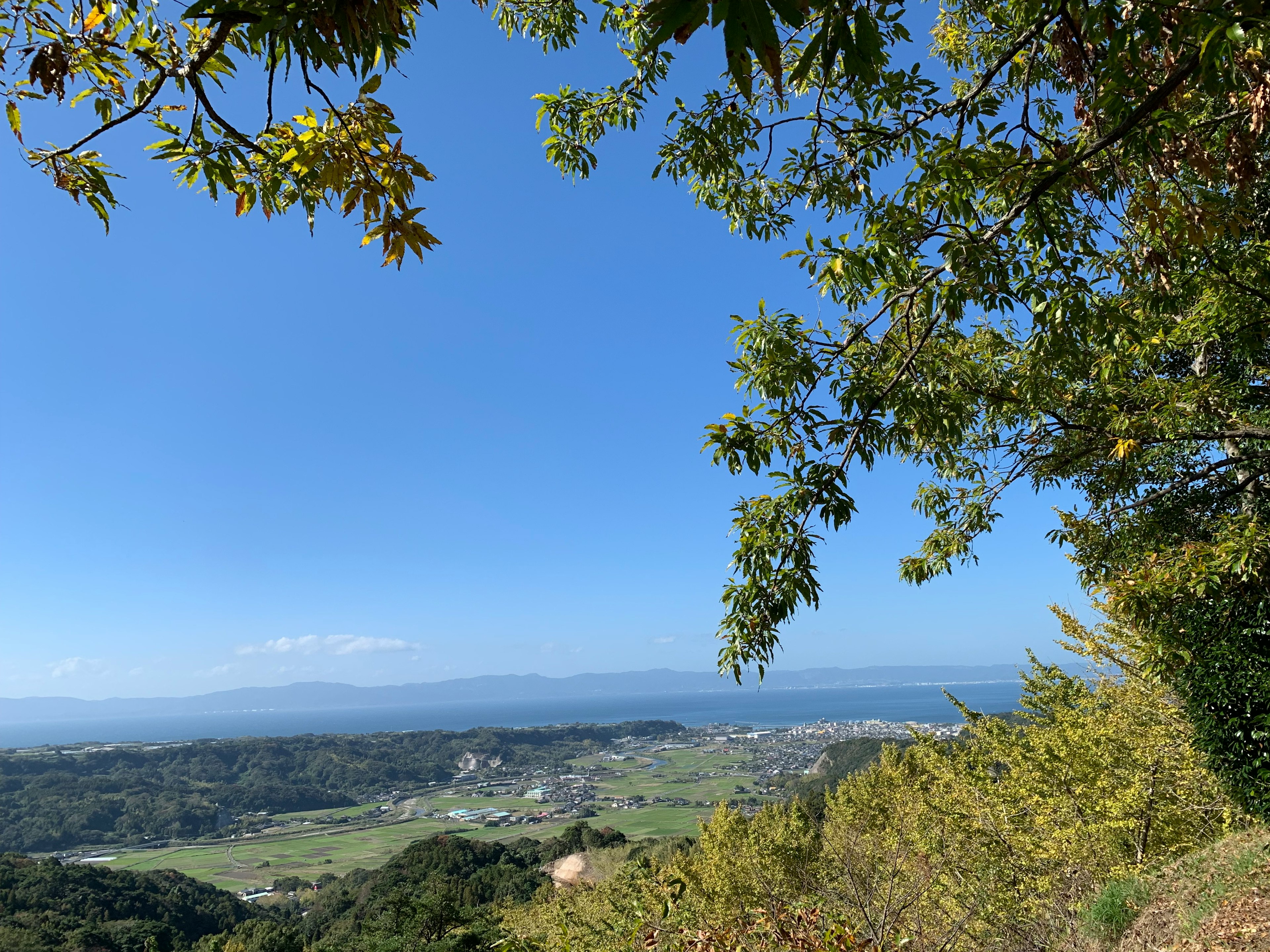 Vue panoramique avec ciel bleu et arbres verts