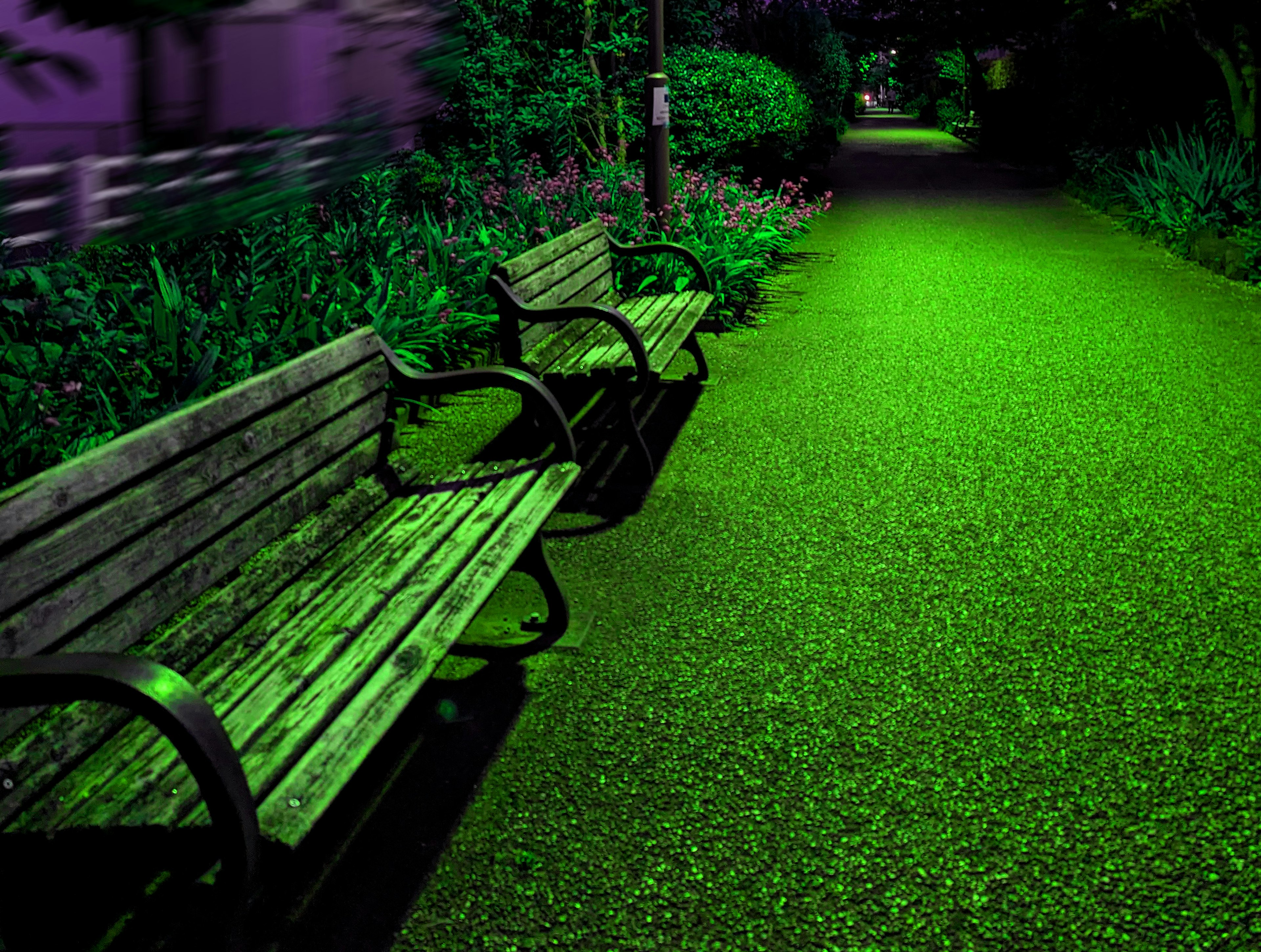 Chemin du parc éclairé en vert avec des bancs et des fleurs