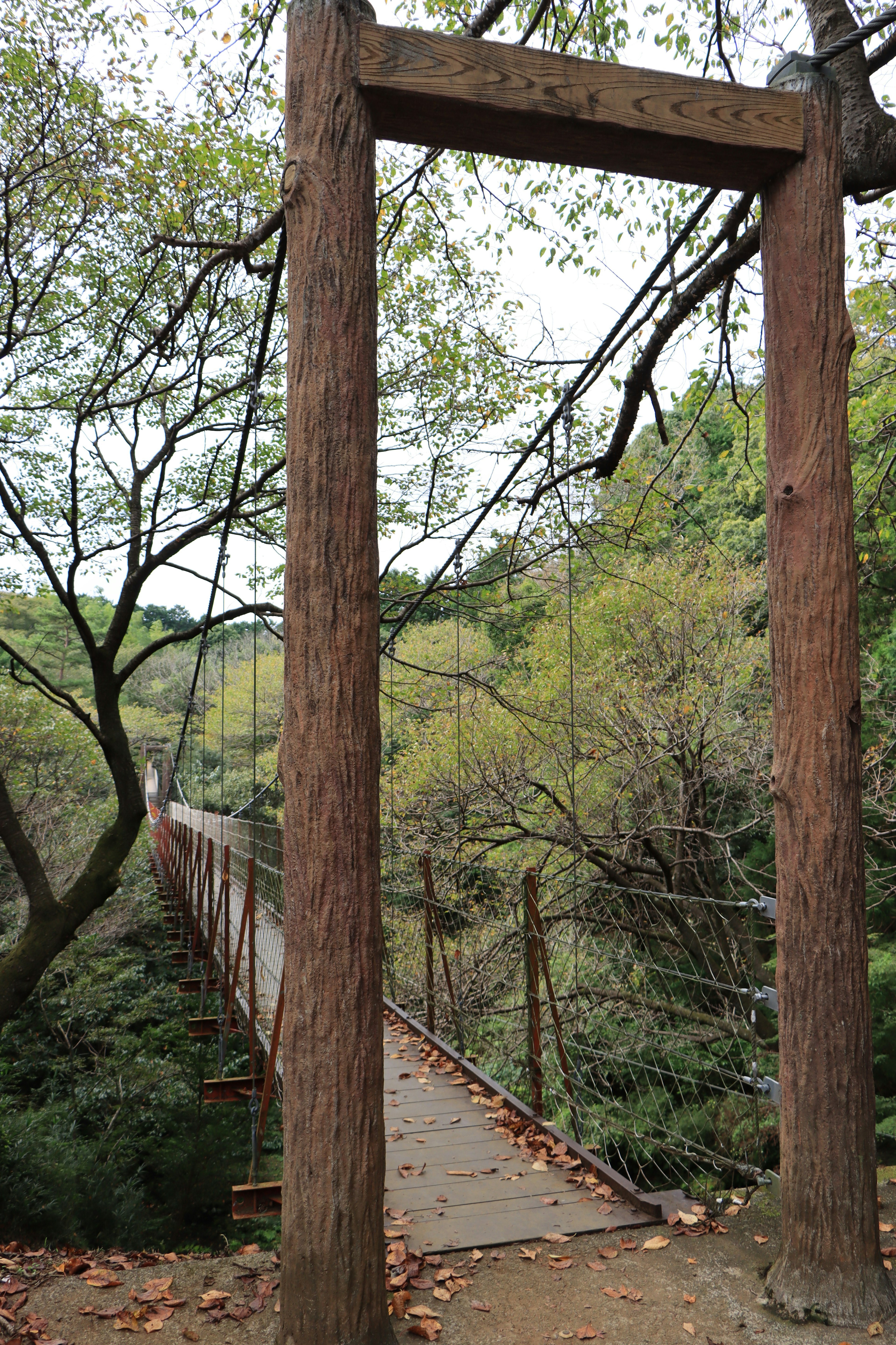 View leading to a wooden suspension bridge