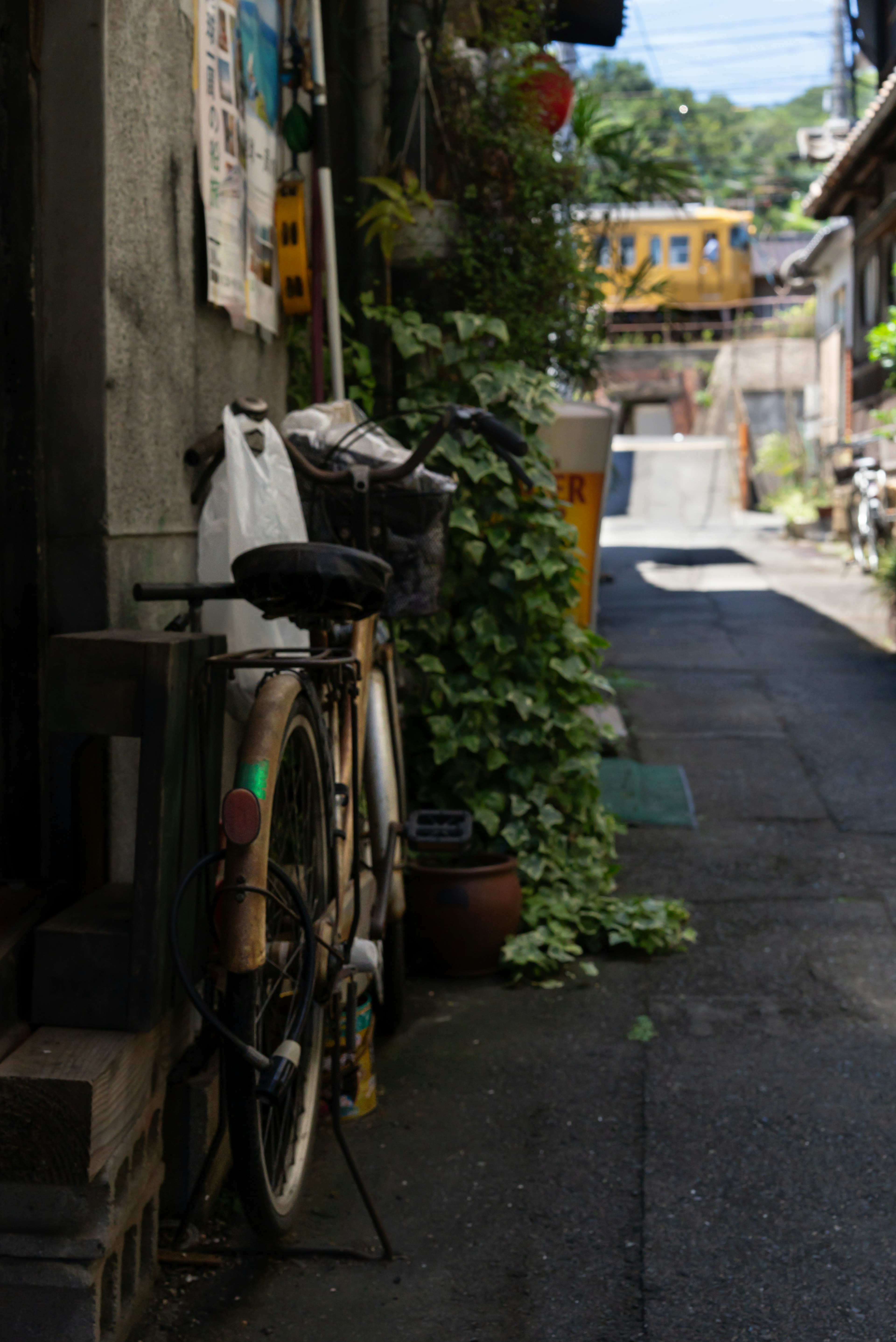 狭い路地に置かれた自転車と緑の植物が特徴的な風景