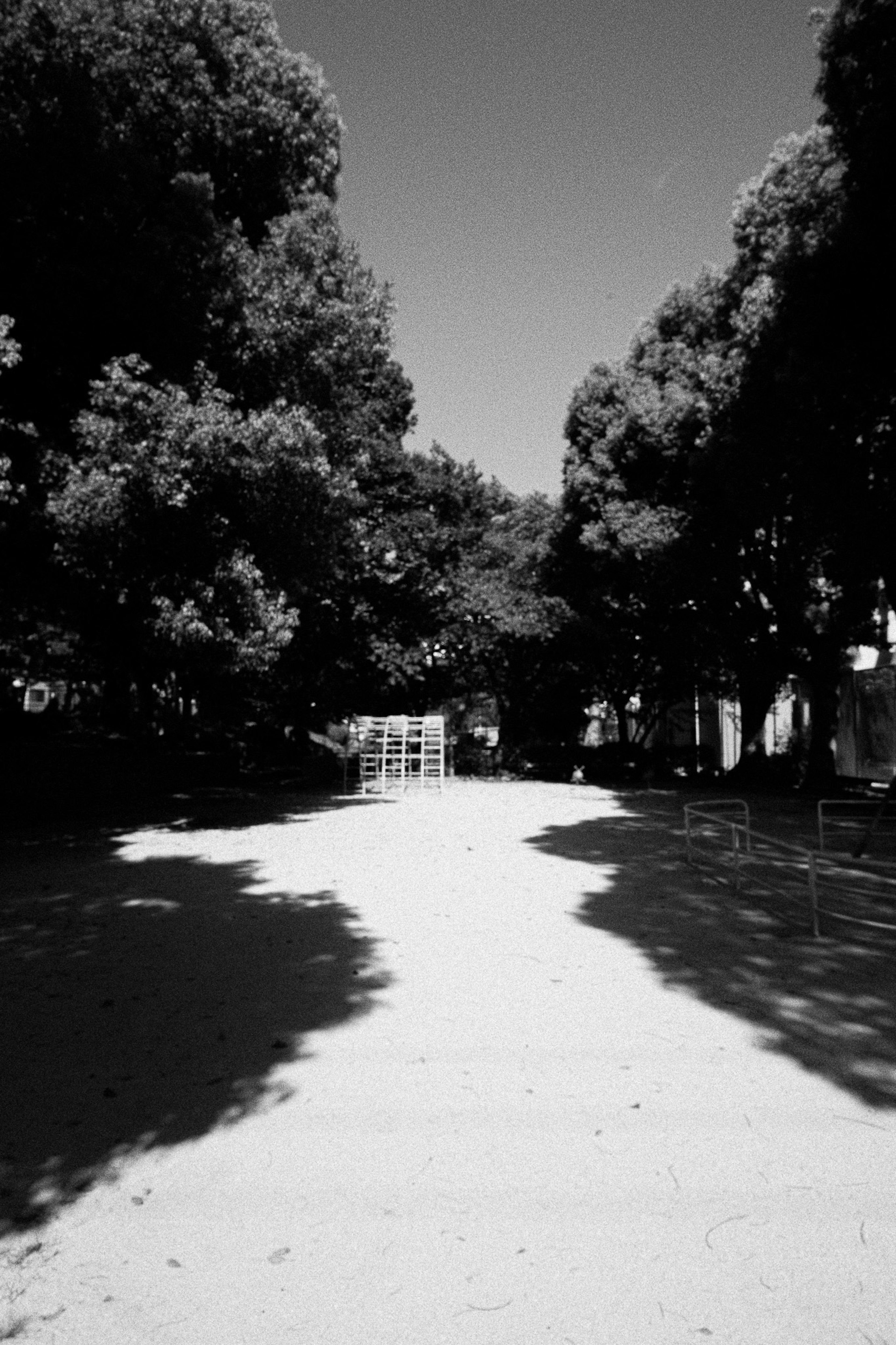 Allée en noir et blanc dans un parc entouré d'arbres