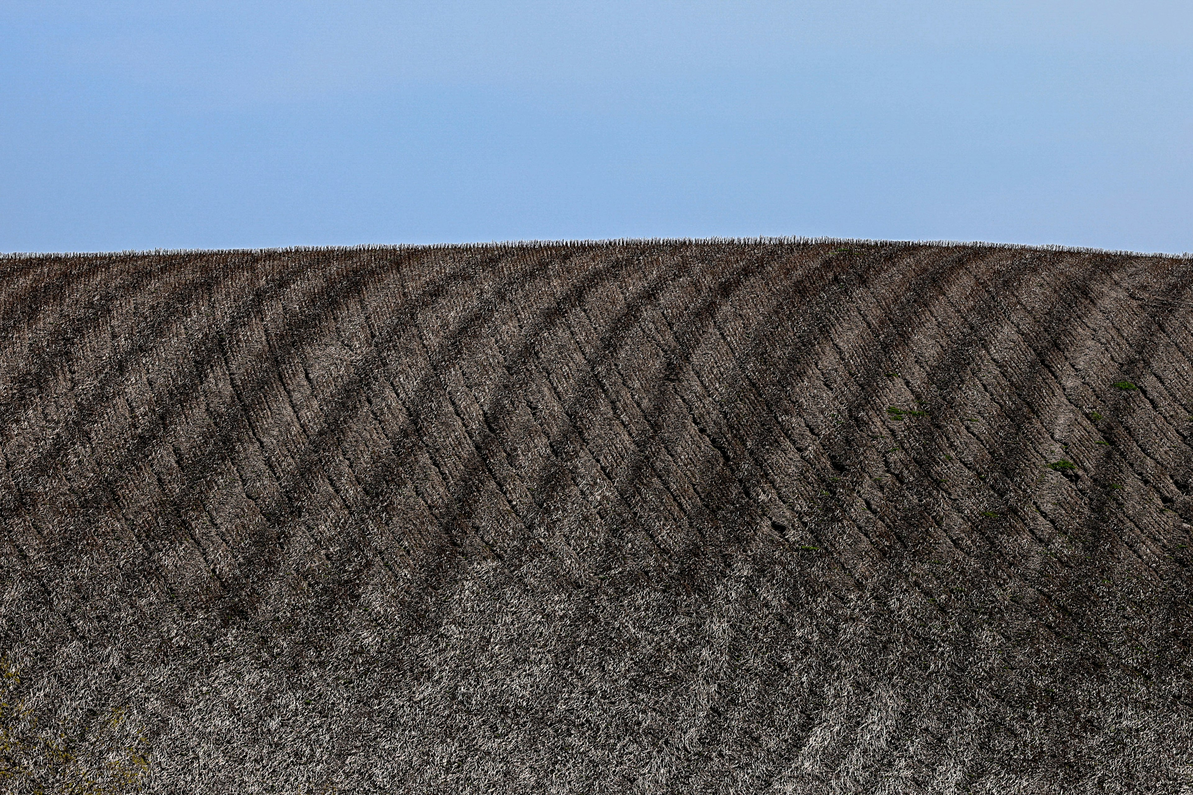 Terre cultivée ondulée sous un ciel bleu