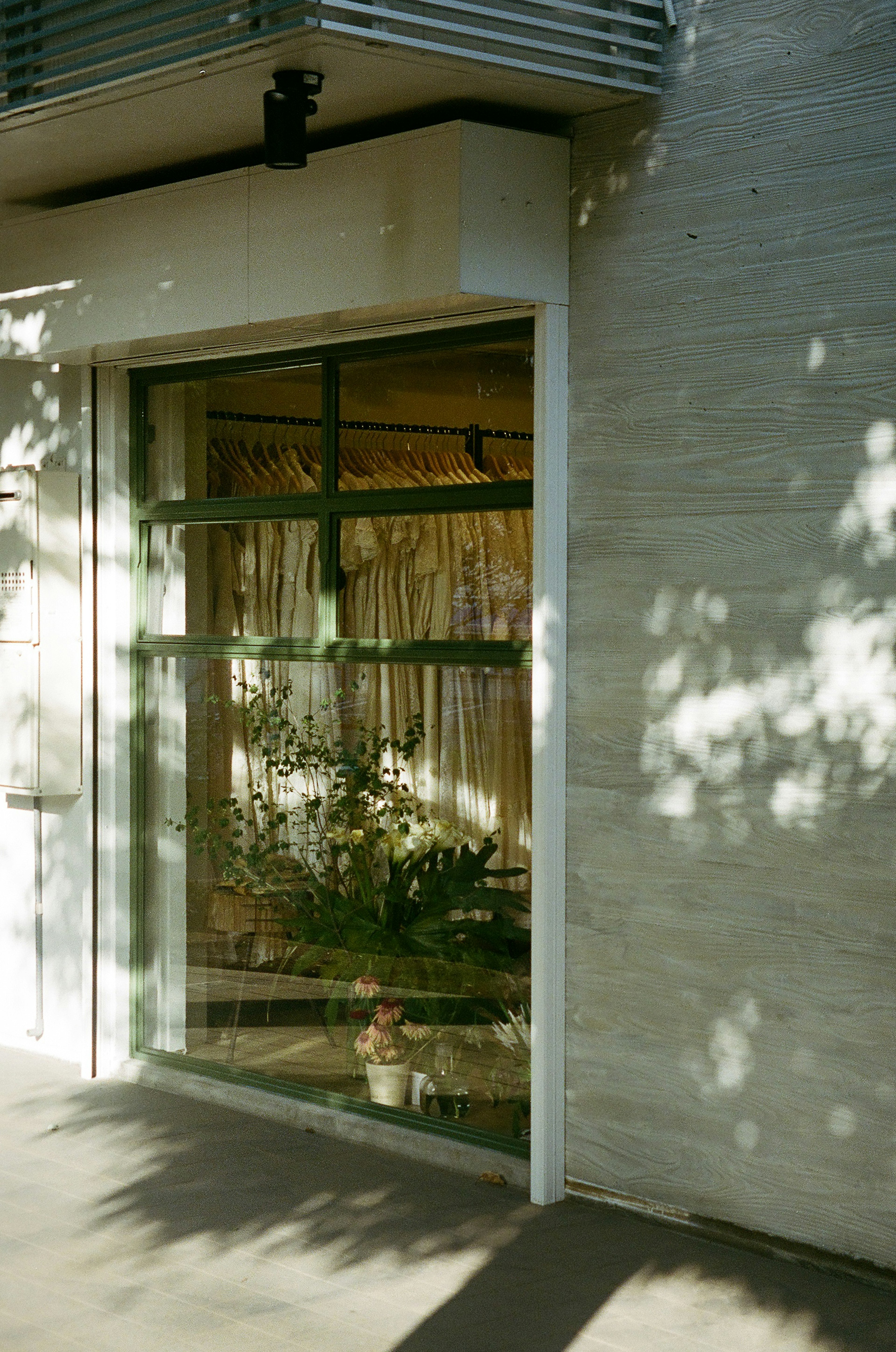 Edificio de pared blanca con ventana de marco verde que muestra plantas interiores