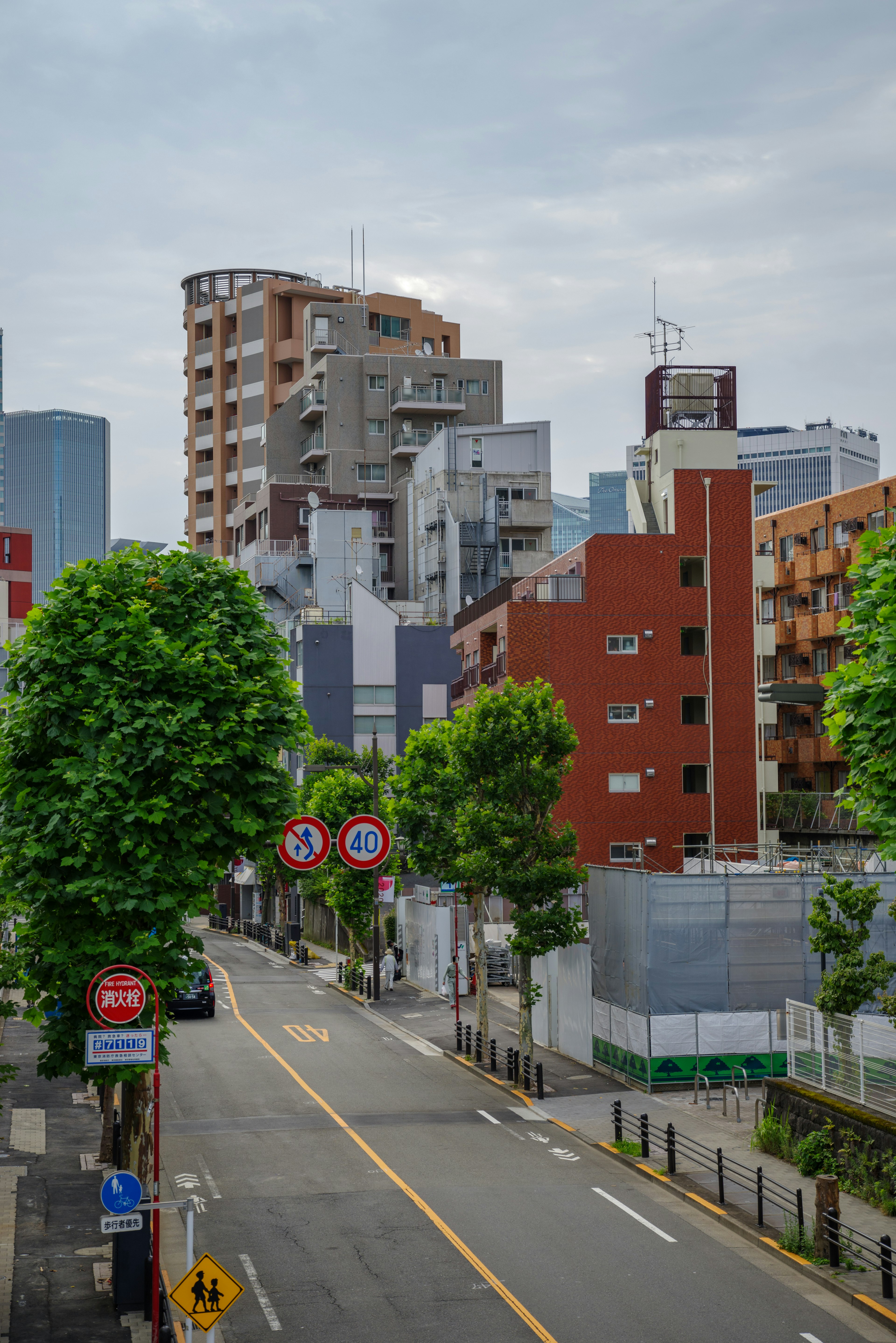 Cảnh đường phố Tokyo với các tòa nhà hiện đại và cây cối hai bên