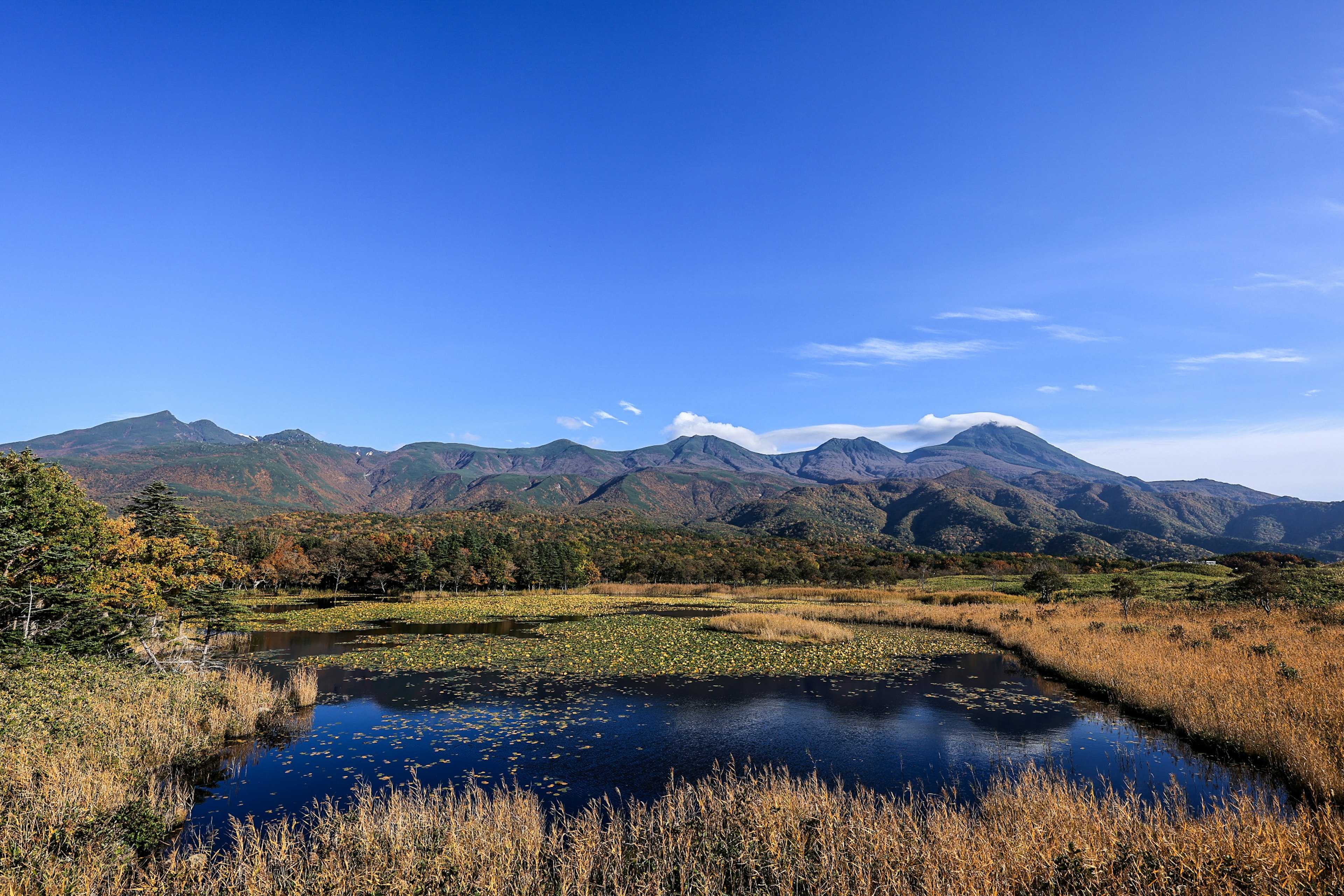 Pemandangan lahan basah dan permukaan air dengan pegunungan dan langit biru yang cerah