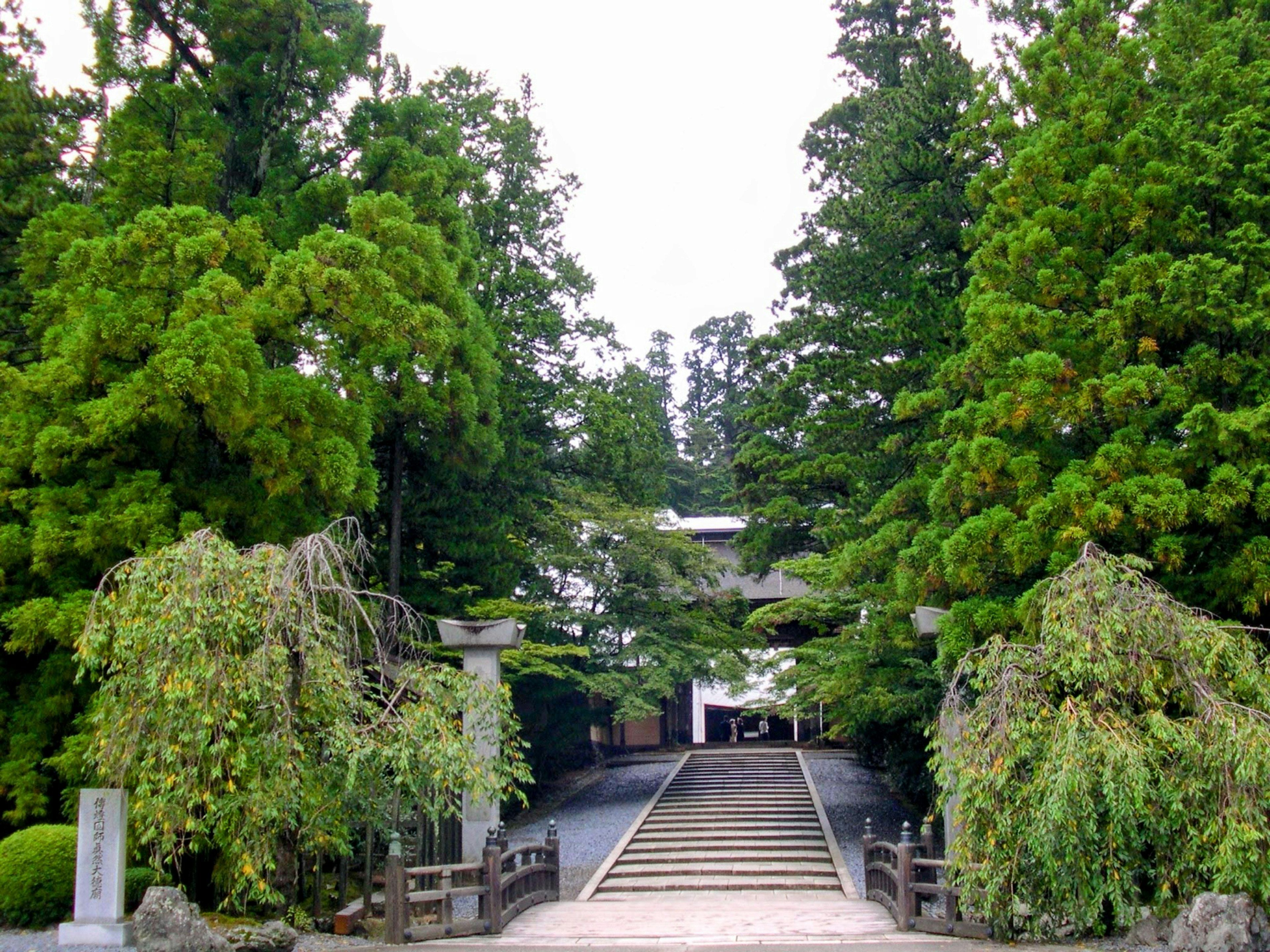 被郁郁葱葱的绿色包围的神社入口，特色石阶