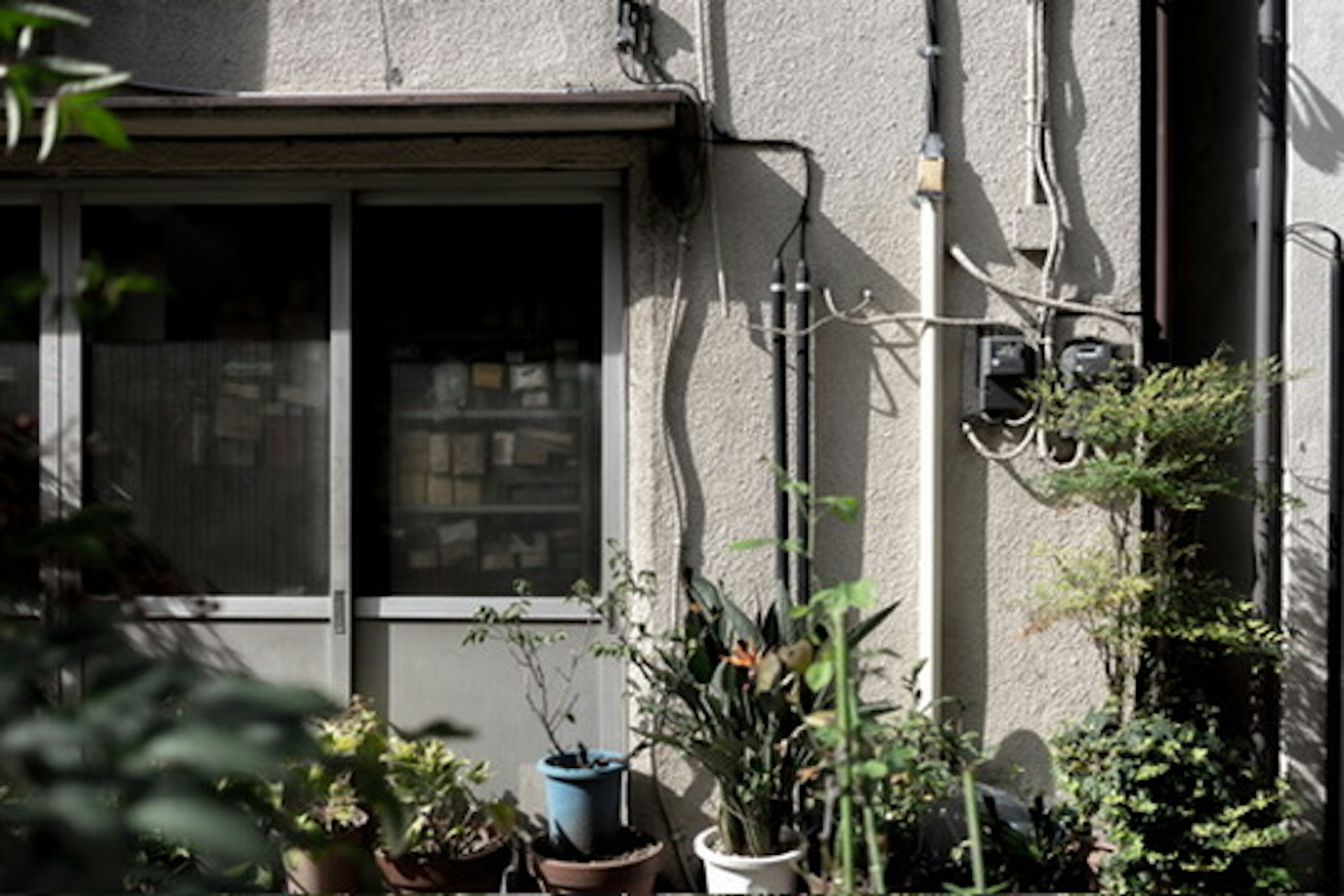 Vista exterior con plantas cerca de una ventana y tuberías visibles en la pared